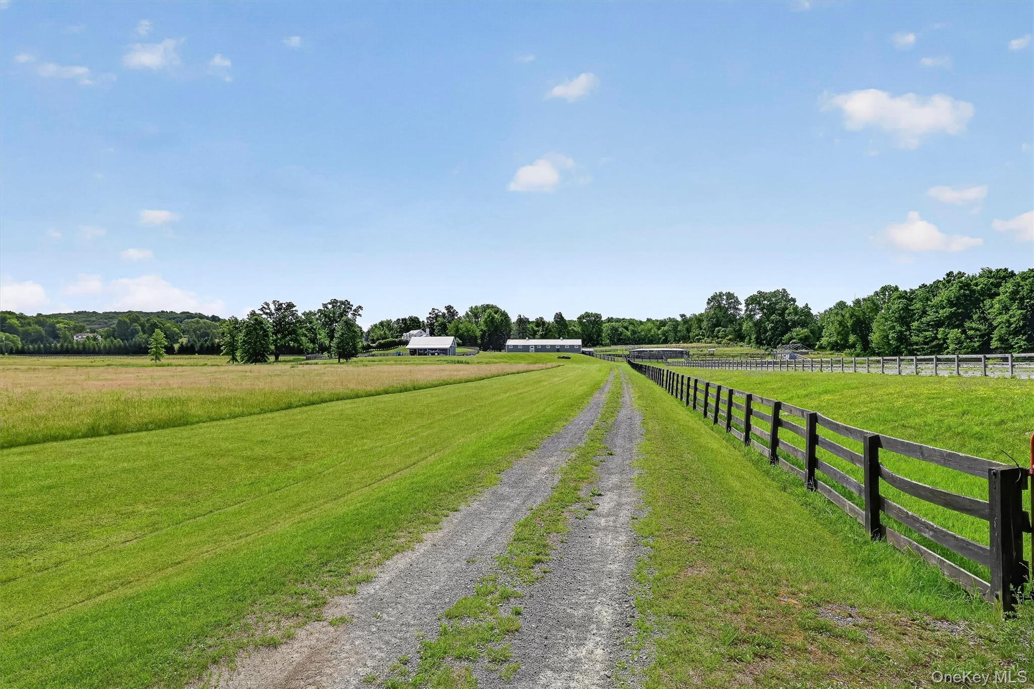 Single Family Collabar Road Orange County, NY 12549, MLS-1026440-44