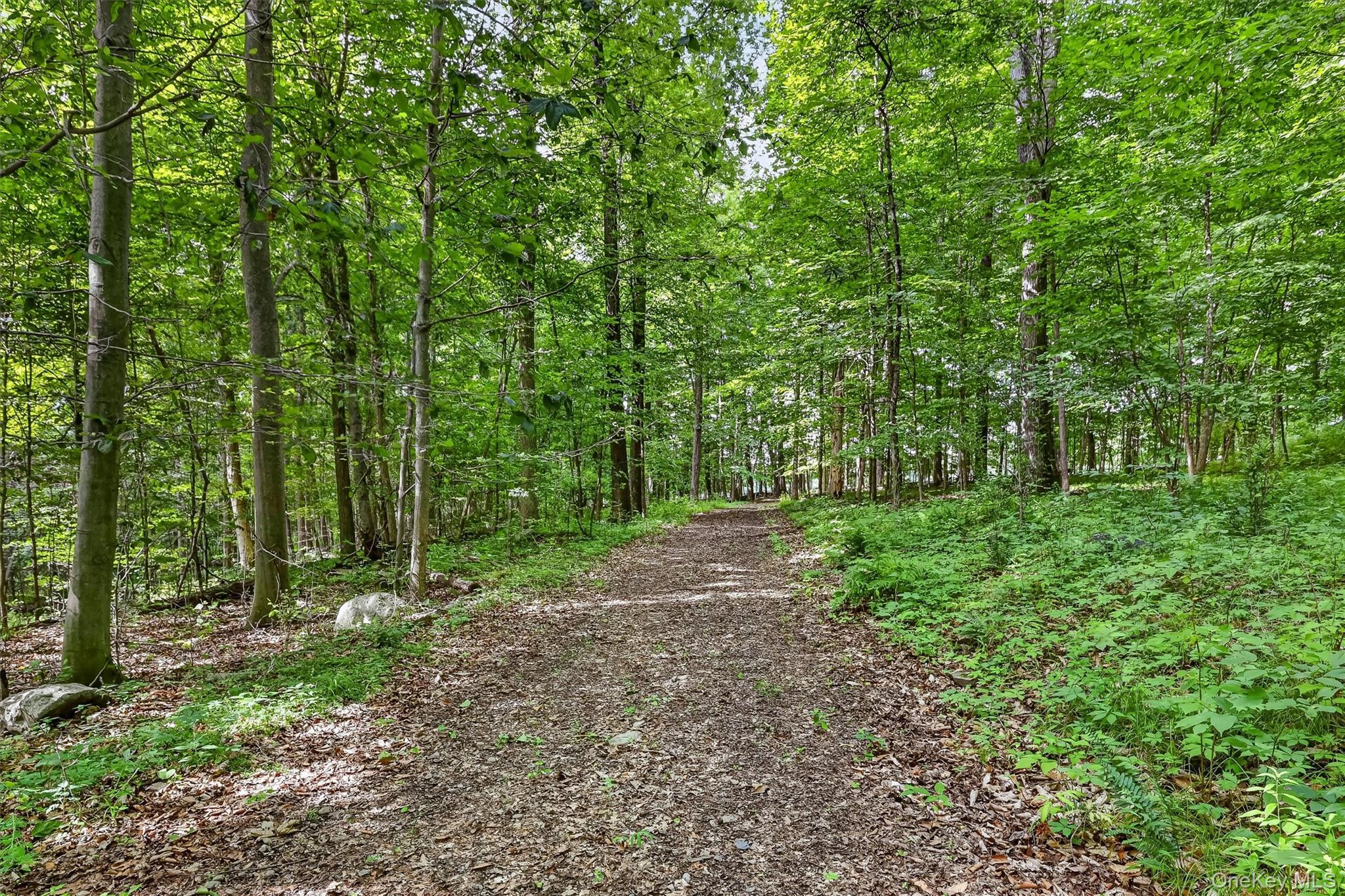 Single Family Collabar Road Orange County, NY 12549, MLS-1026440-49