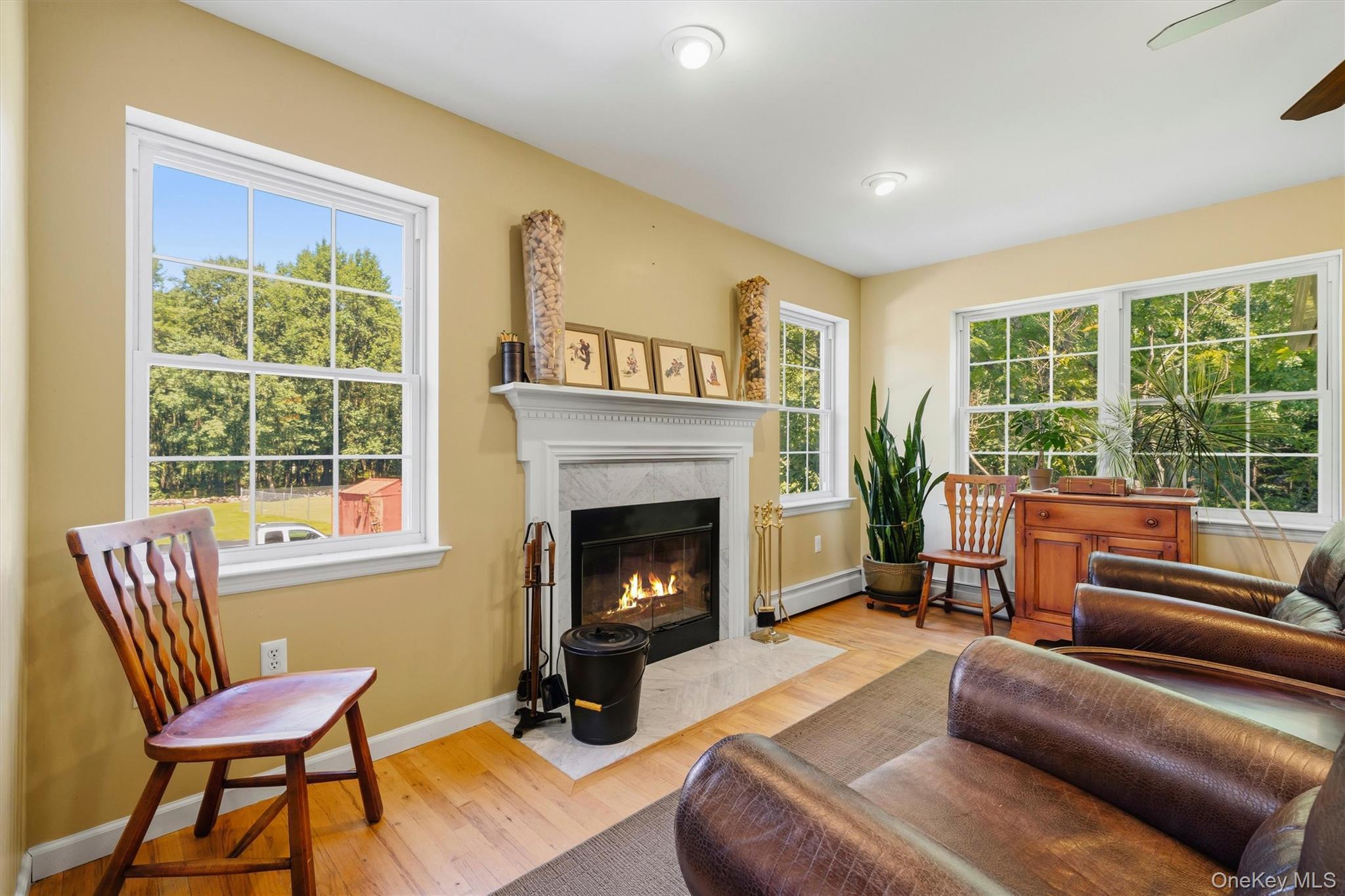 Single Family Ridgebury Road  Orange County, NY 10973, MLS-1026551-15