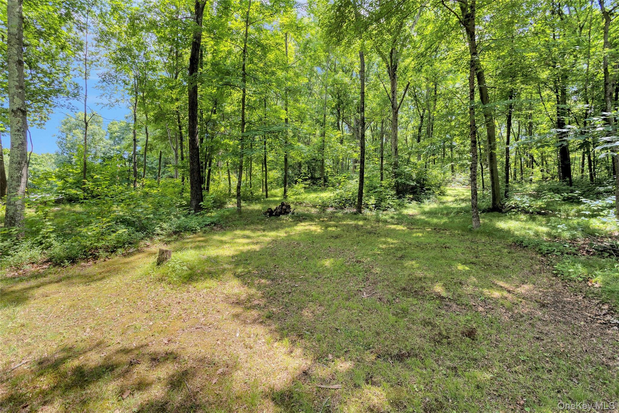 Single Family Wood Road Putnam County, NY 10541, MLS-1026654-14