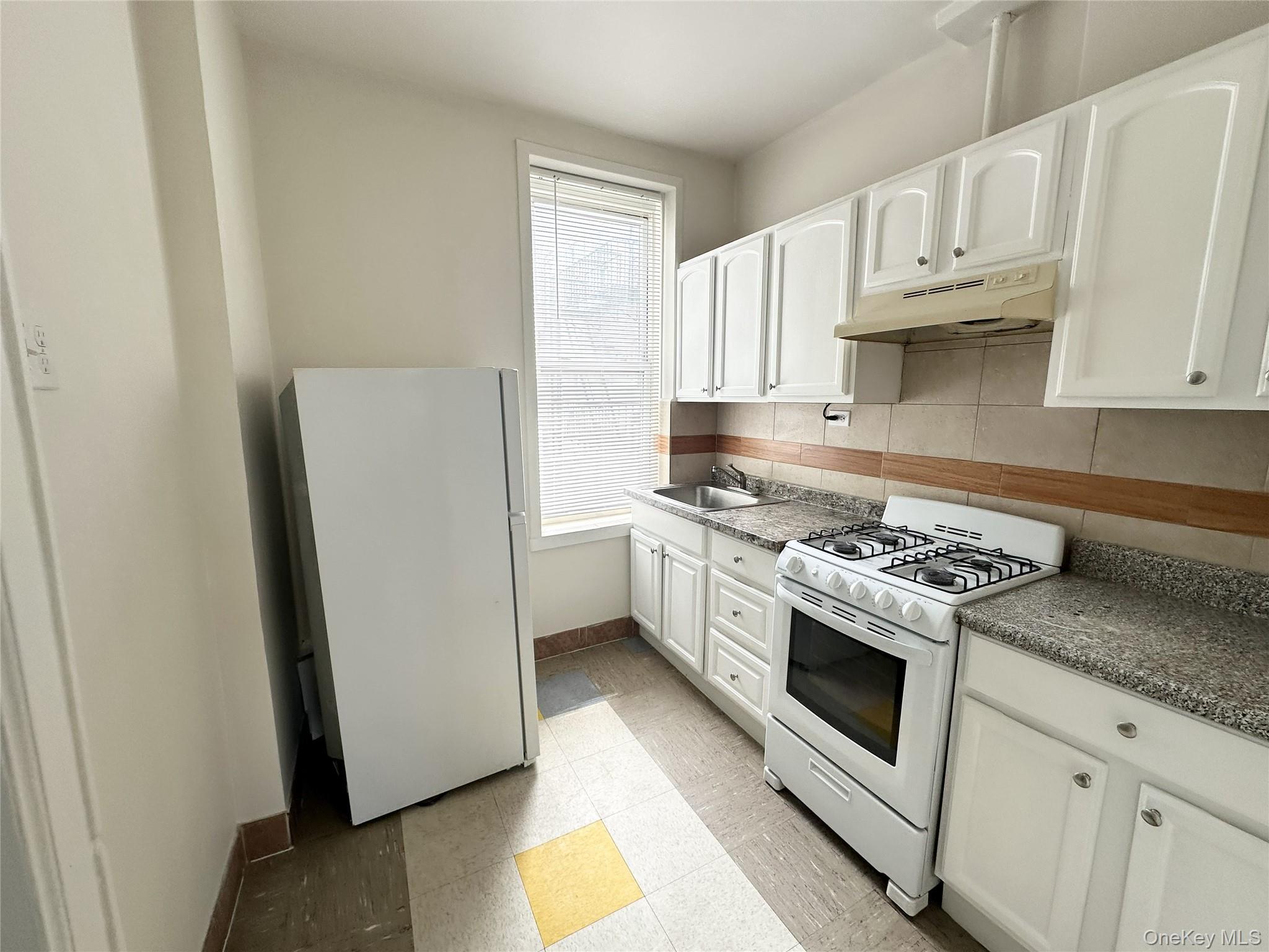 Single Family 66th Street Brooklyn, NY 11219, MLS-1026659-6