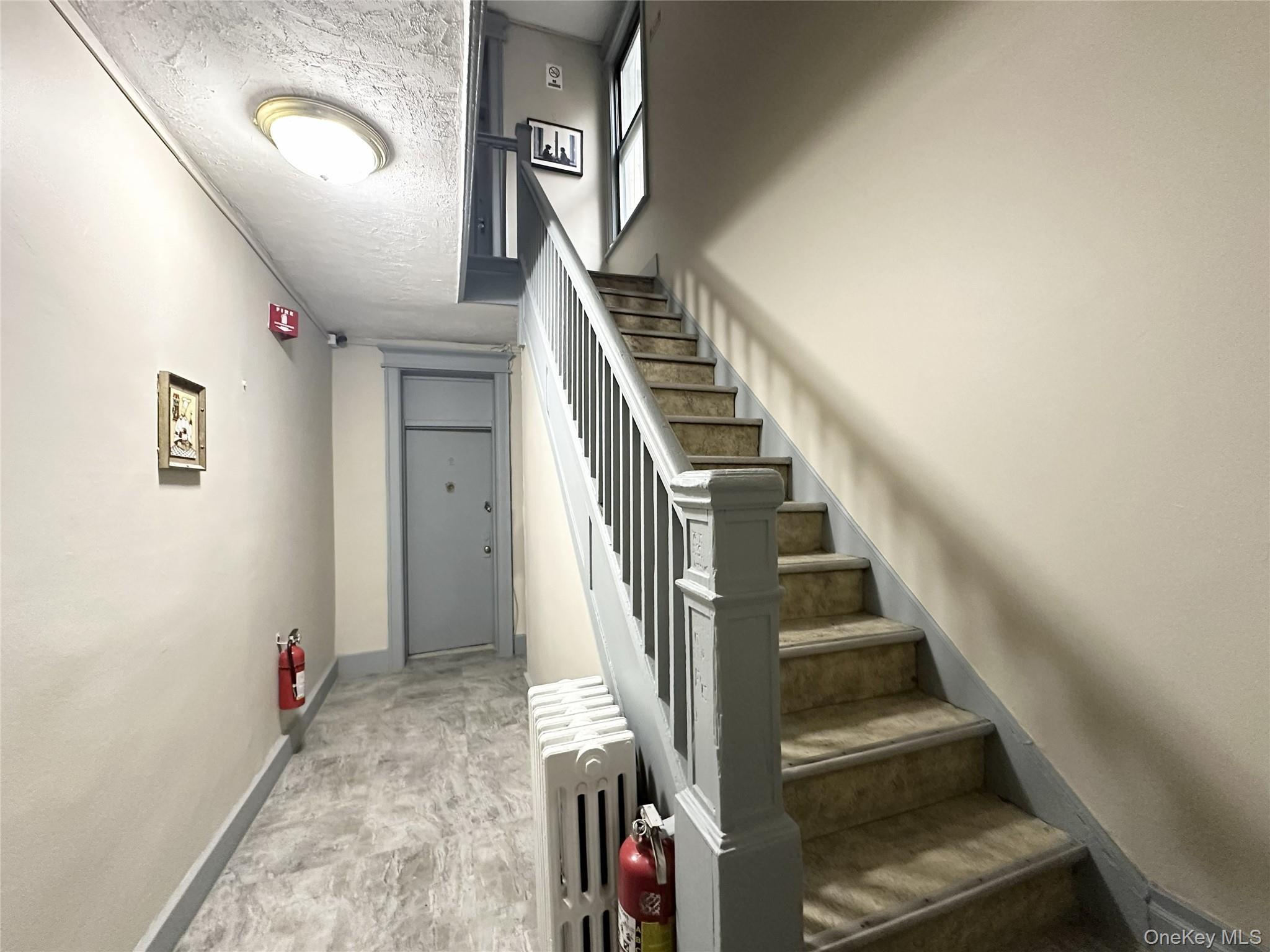 Single Family 66th Street Brooklyn, NY 11219, MLS-1026659-8