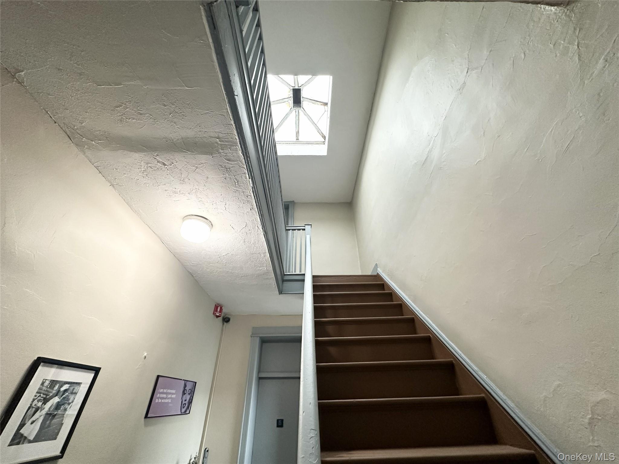 Single Family 66th Street Brooklyn, NY 11219, MLS-1026659-9