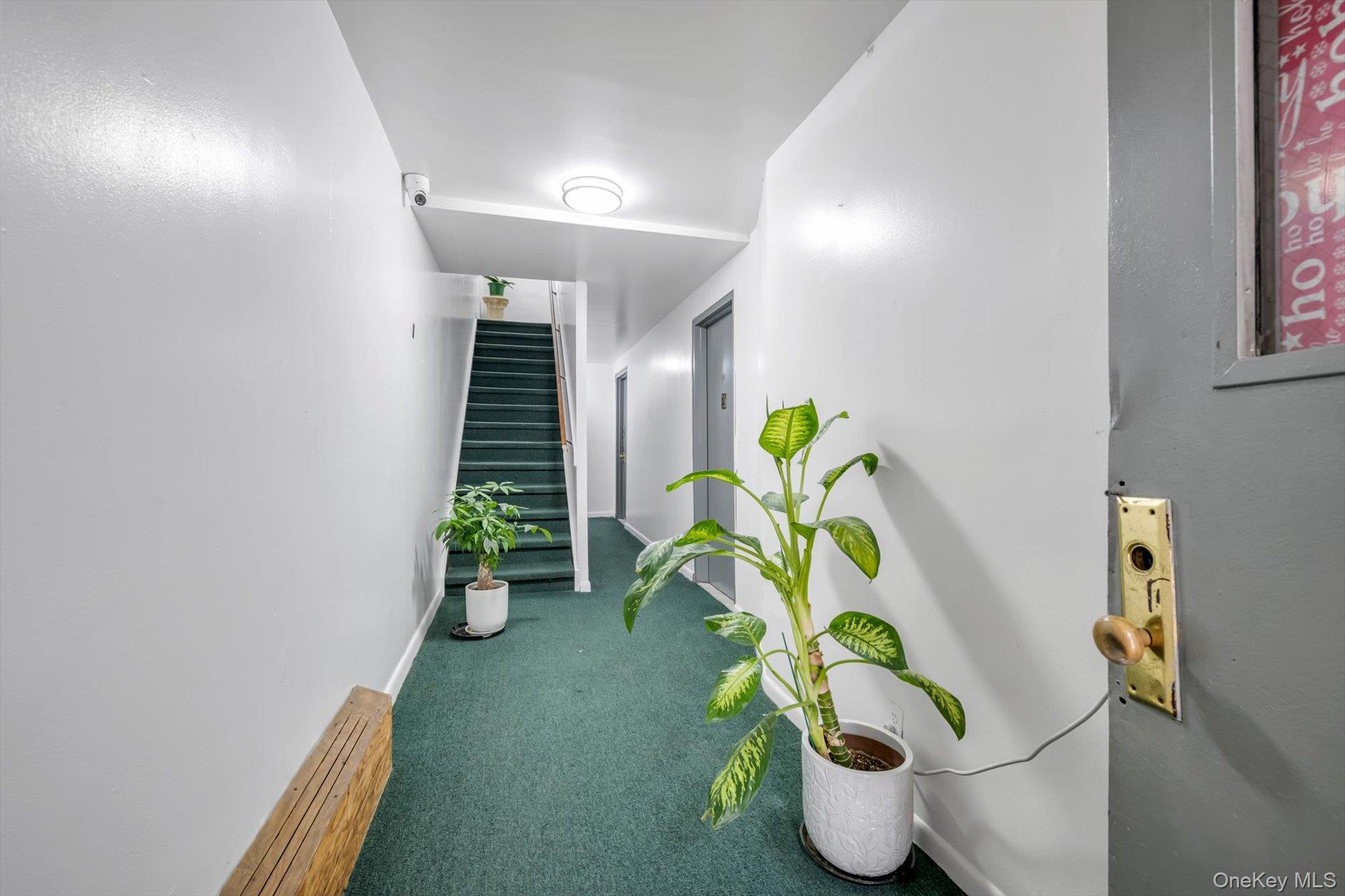 Single Family 97th Street Queens, NY 11368, MLS-1026674-2