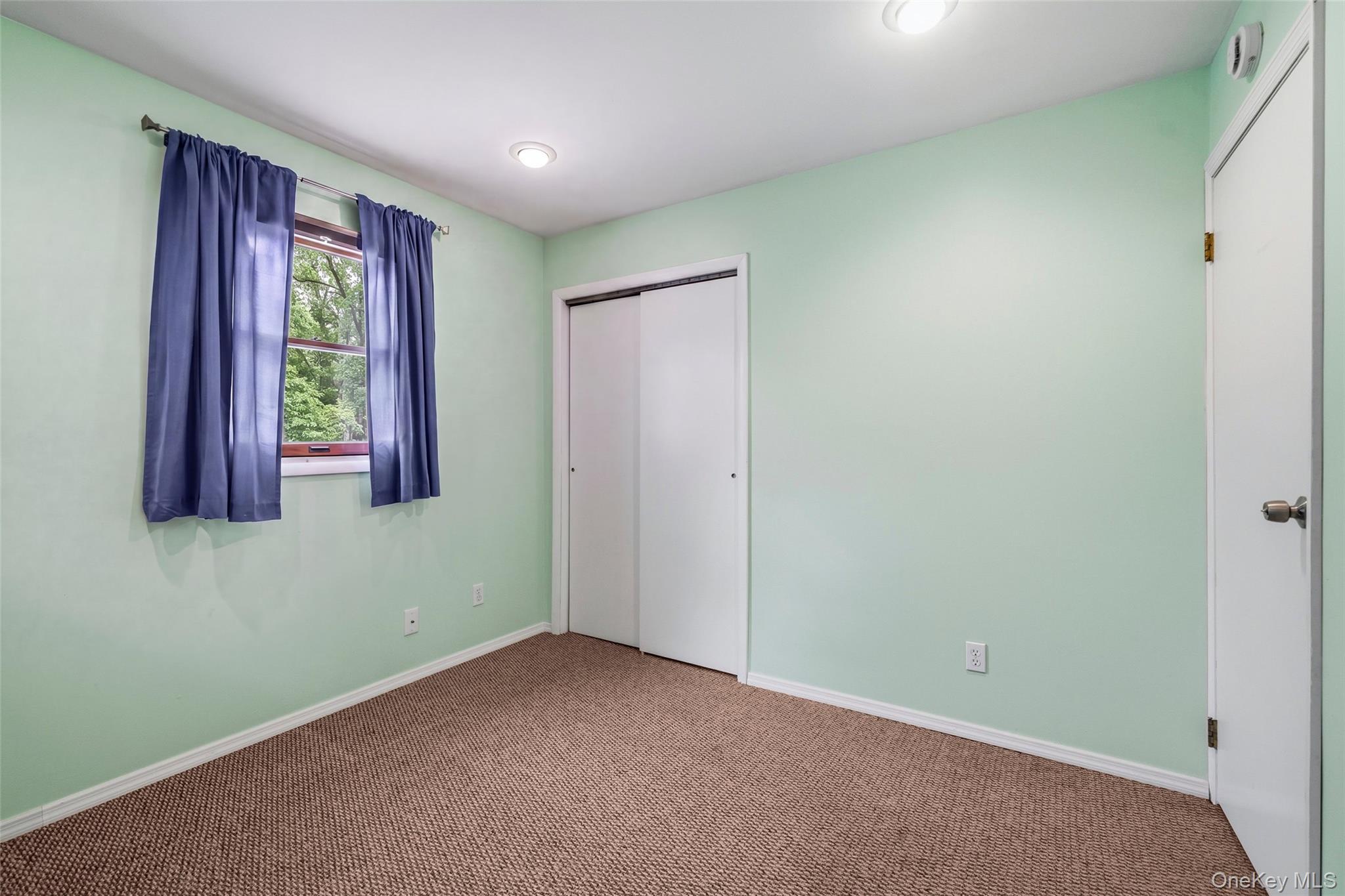 Single Family Lake Drive  Orange County, NY 10925, MLS-1026694-23