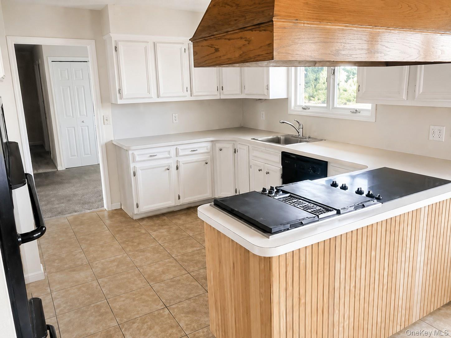 Single Family Vista Drive  Sullivan County, NY 12754, MLS-1026696-3
