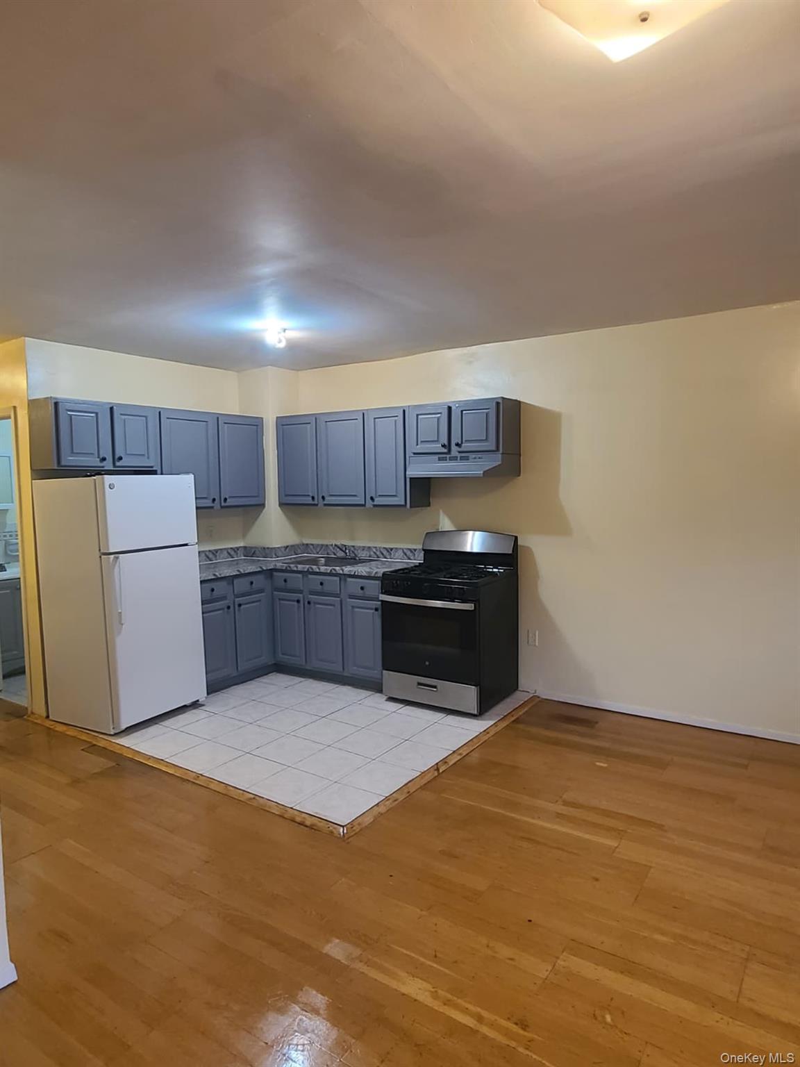 Single Family E 21st Street Brooklyn, NY 11226, MLS-1026701-10