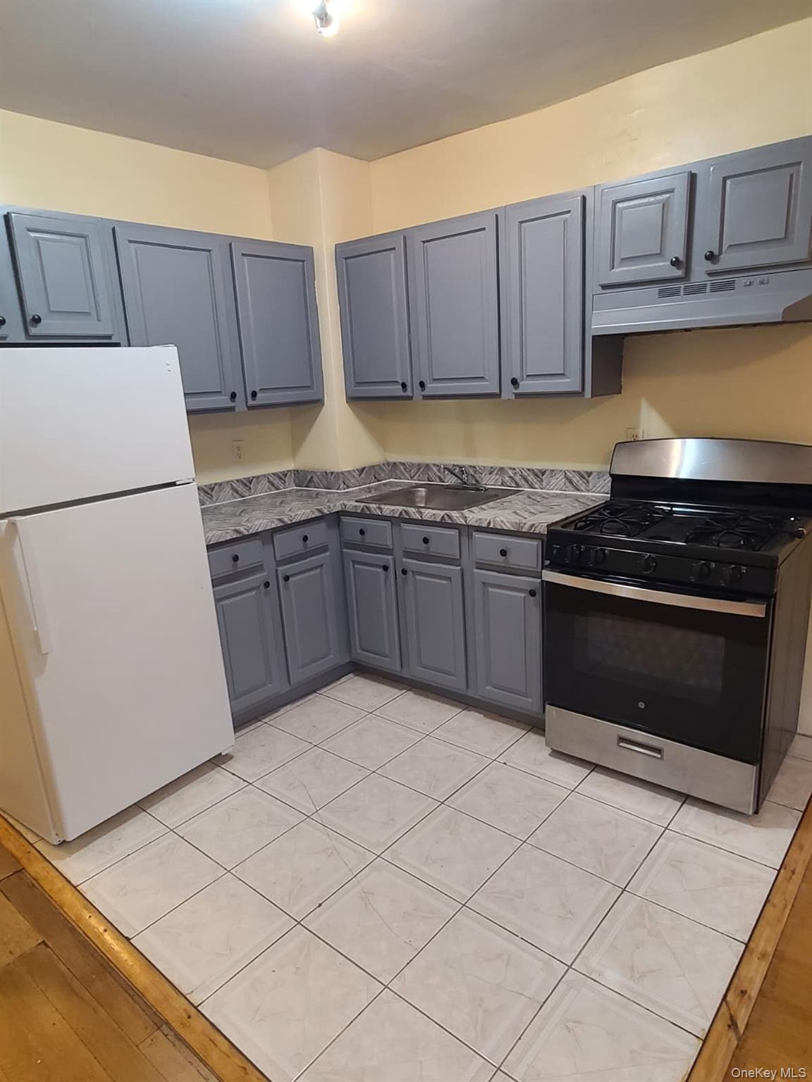 Single Family E 21st Street Brooklyn, NY 11226, MLS-1026701-11
