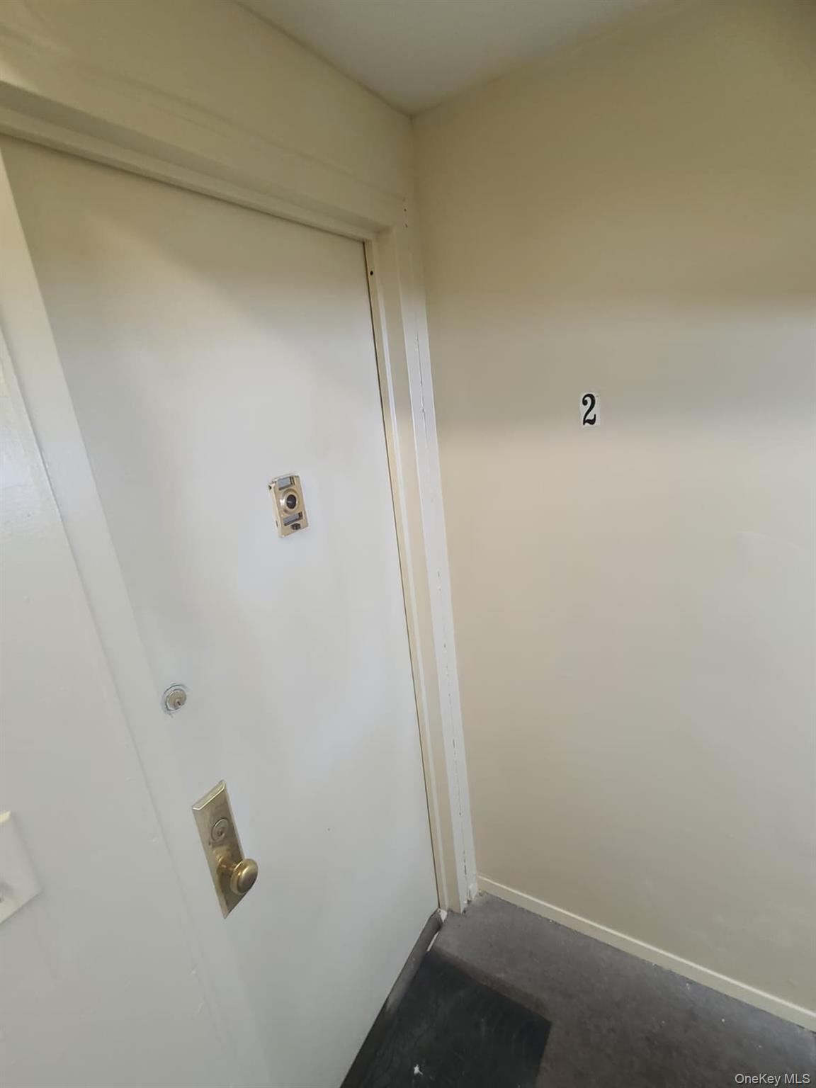 Single Family E 21st Street Brooklyn, NY 11226, MLS-1026701-14