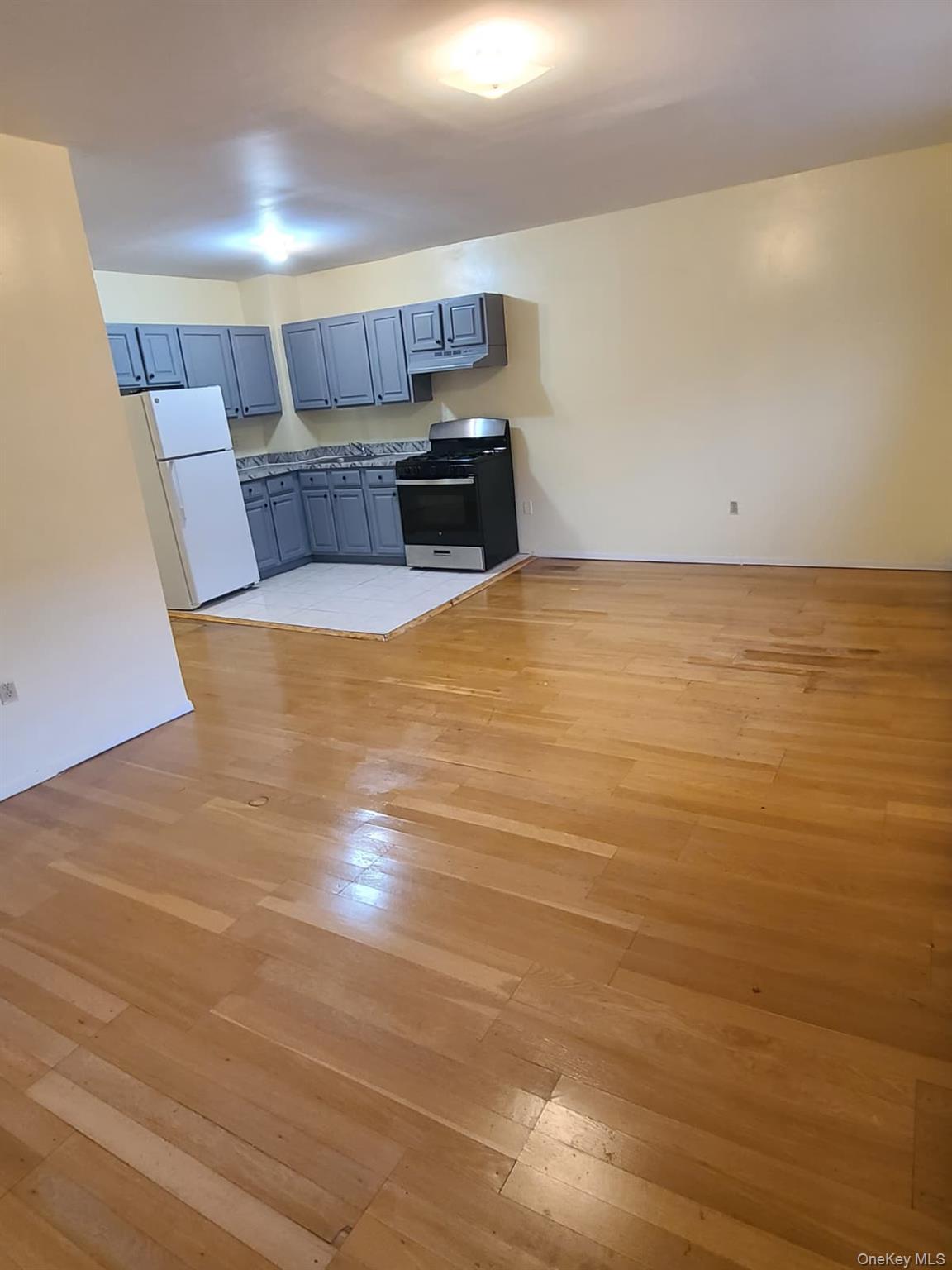 Single Family E 21st Street Brooklyn, NY 11226, MLS-1026701-7