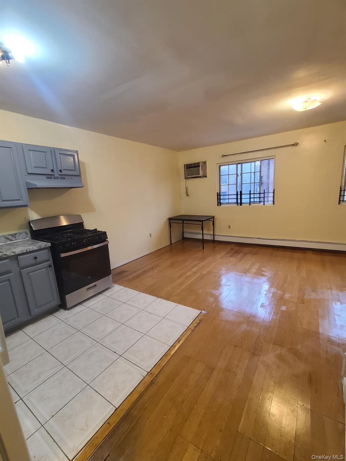 Single Family E 21st Street Brooklyn, NY 11226, MLS-1026701-9