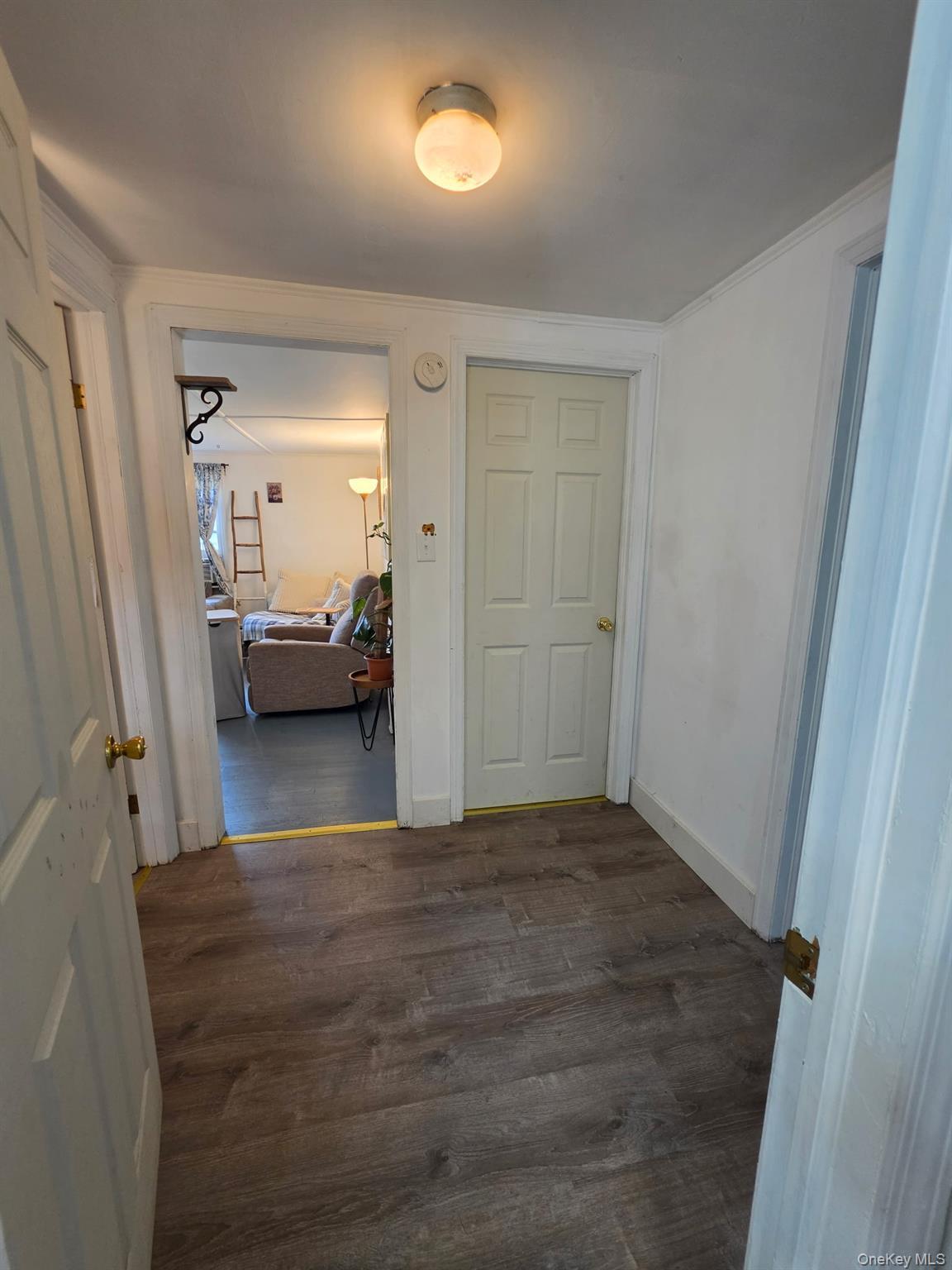 Single Family Birch Drive Dutchess County, NY 12567, MLS-1026705-20