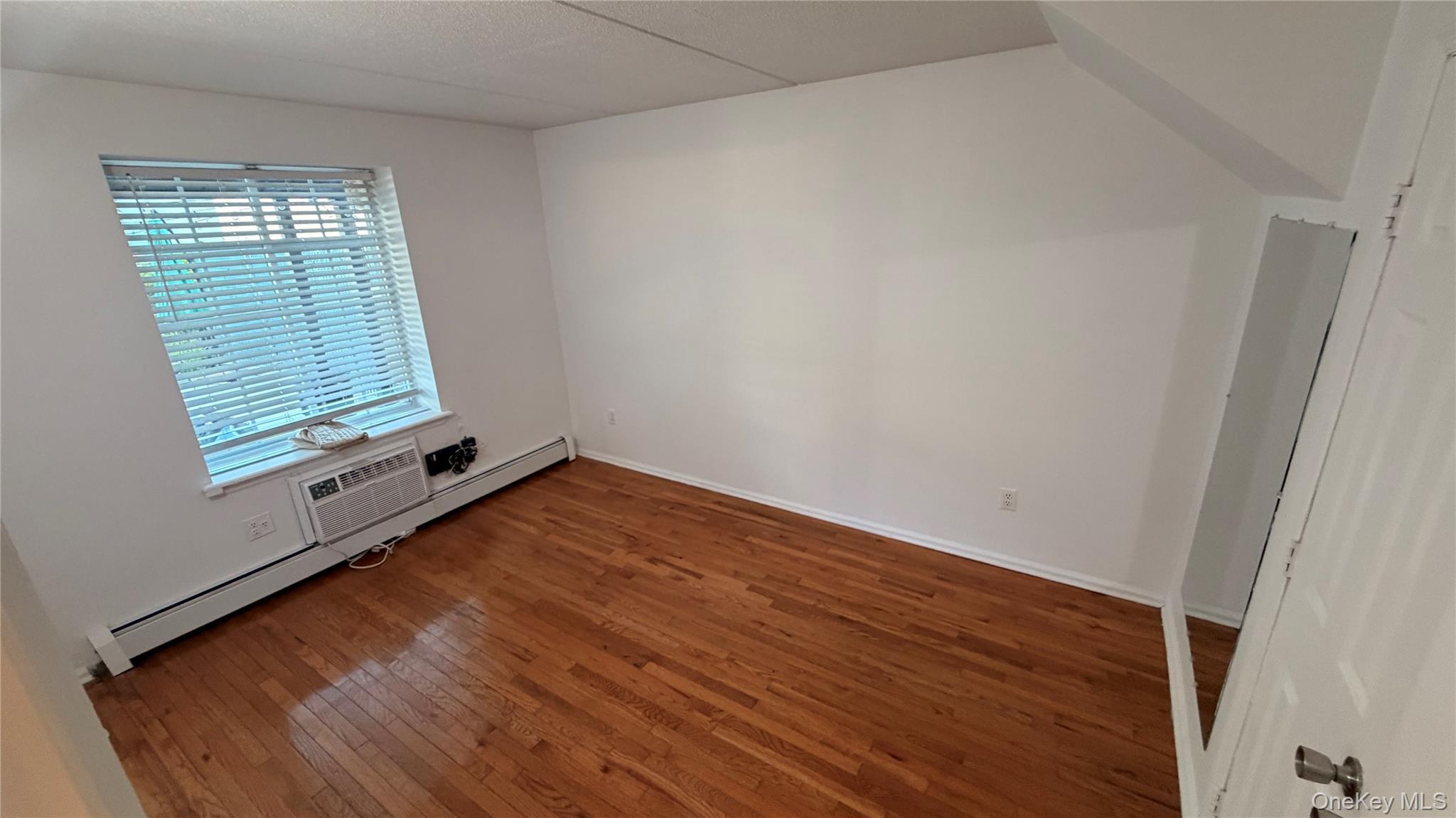 Single Family Bergen Street Brooklyn, NY 11233, MLS-1026715-42