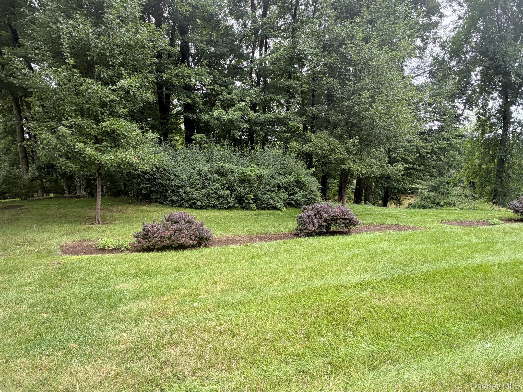 Single Family Pleasant Avenue  Orange County, NY 12549, MLS-1026792-17