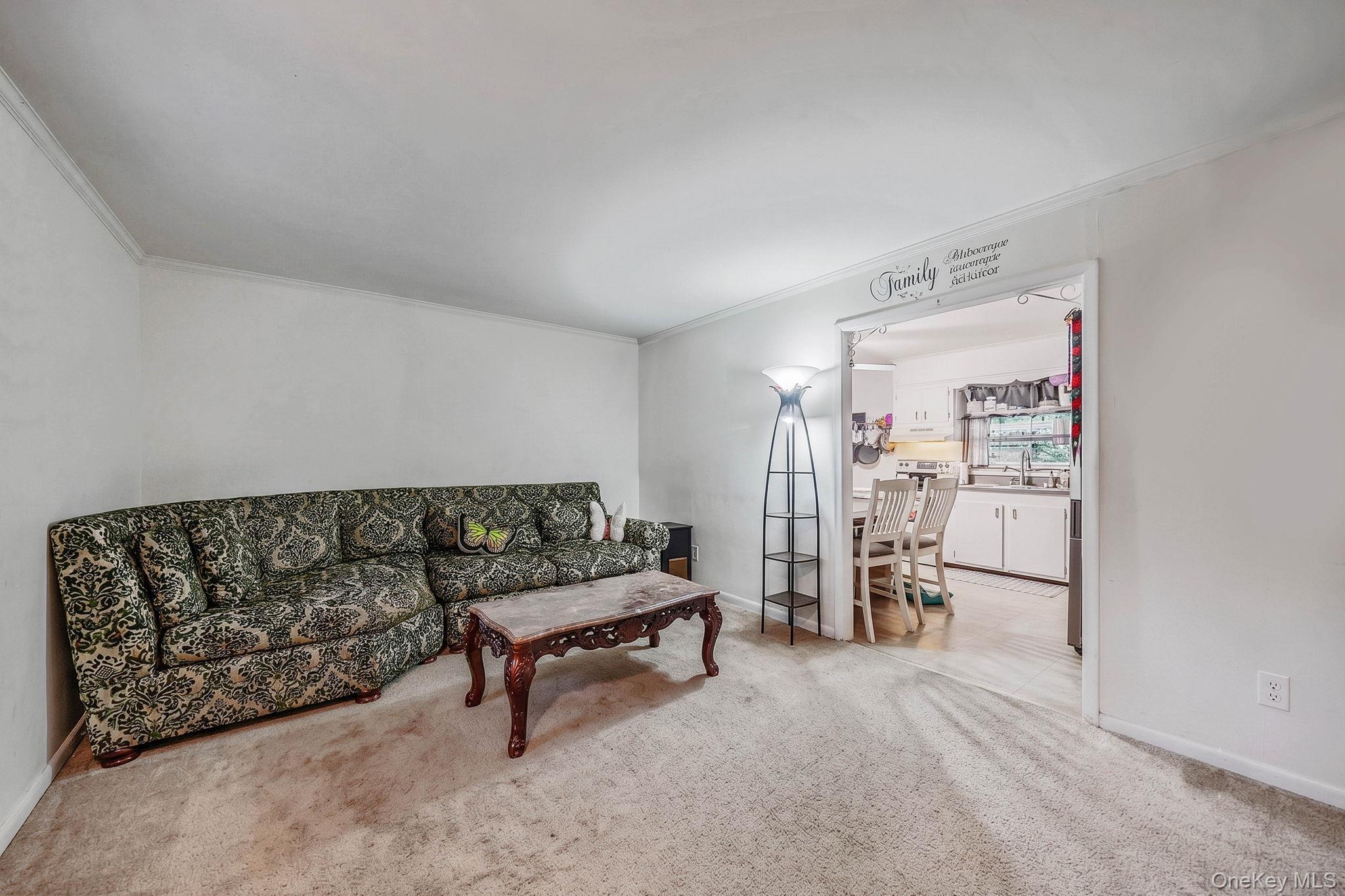 Single Family Dawn Road  Suffolk County, NY 11778, MLS-1026835-9