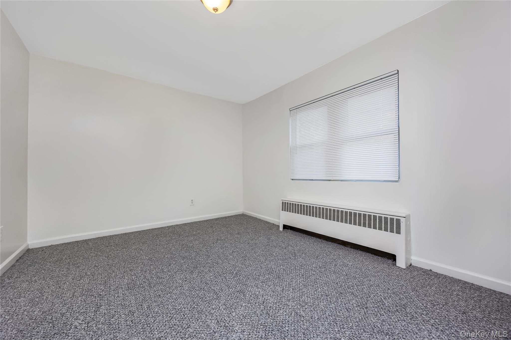 Single Family Buchanan Avenue Suffolk County, NY 11798, MLS-1026909-12