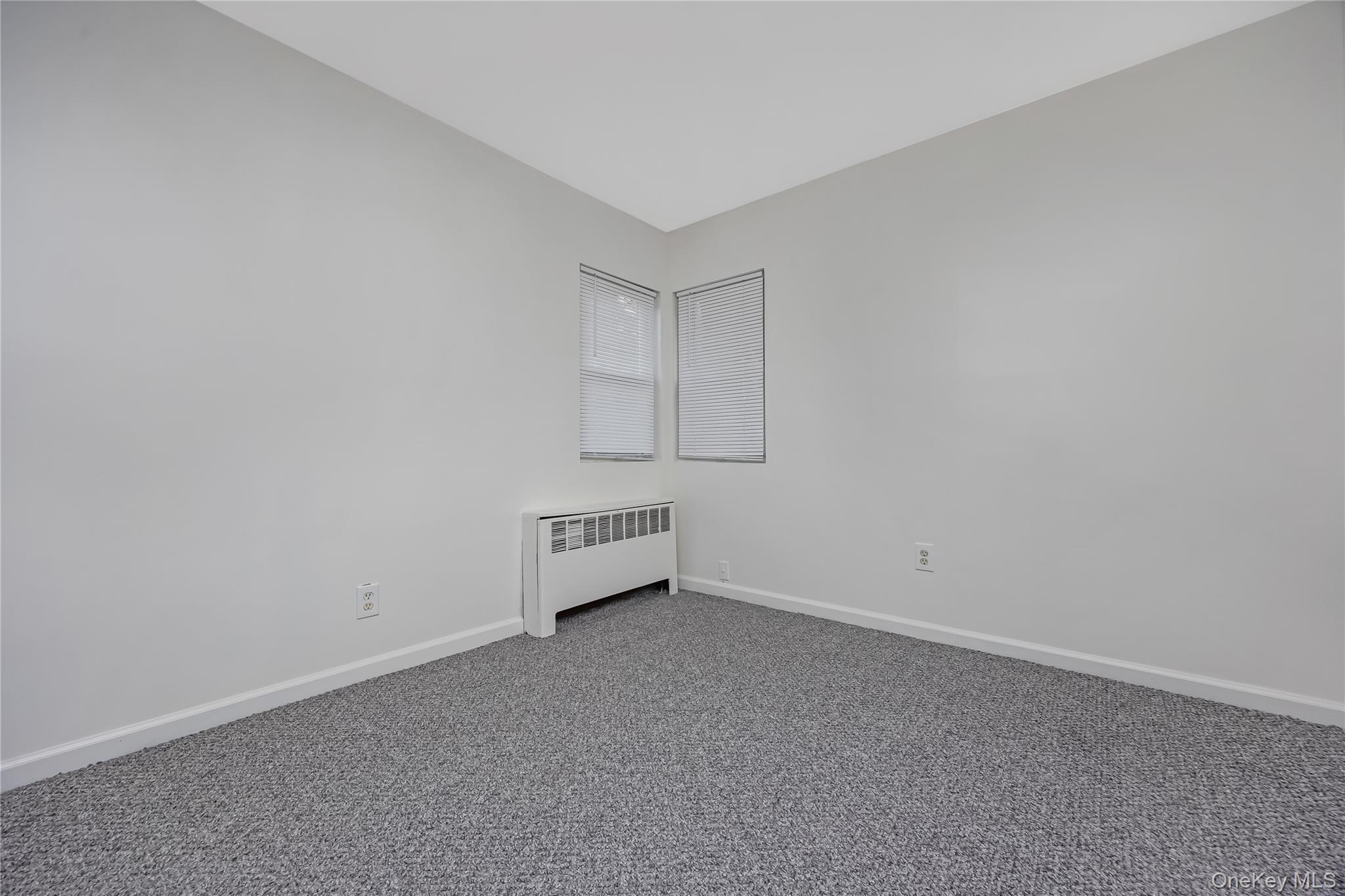 Single Family Buchanan Avenue Suffolk County, NY 11798, MLS-1026909-13