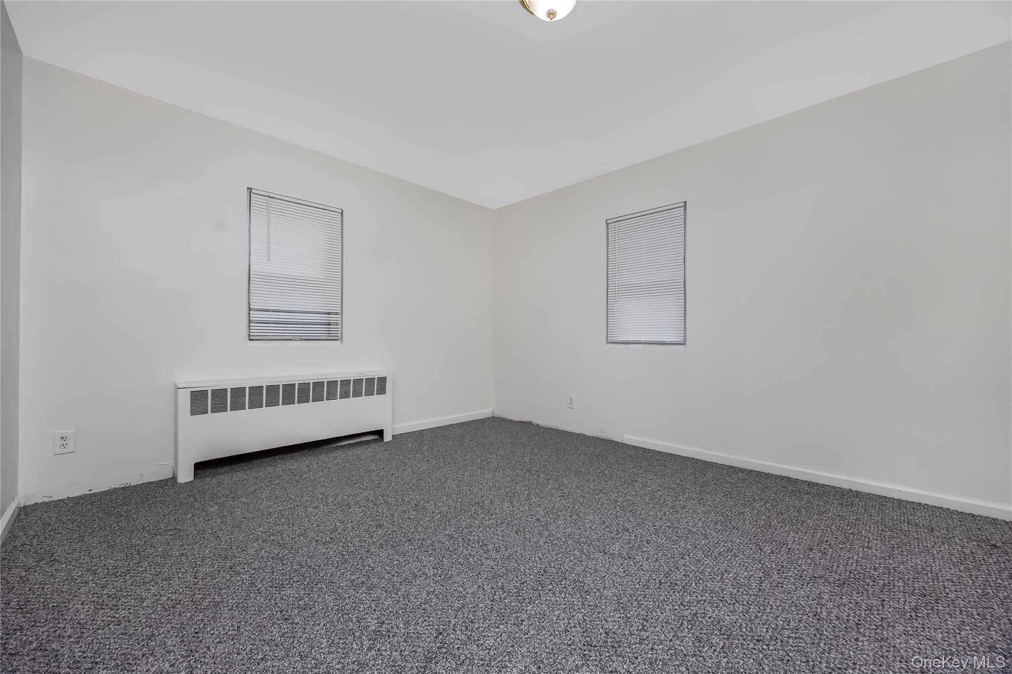 Single Family Buchanan Avenue Suffolk County, NY 11798, MLS-1026909-14