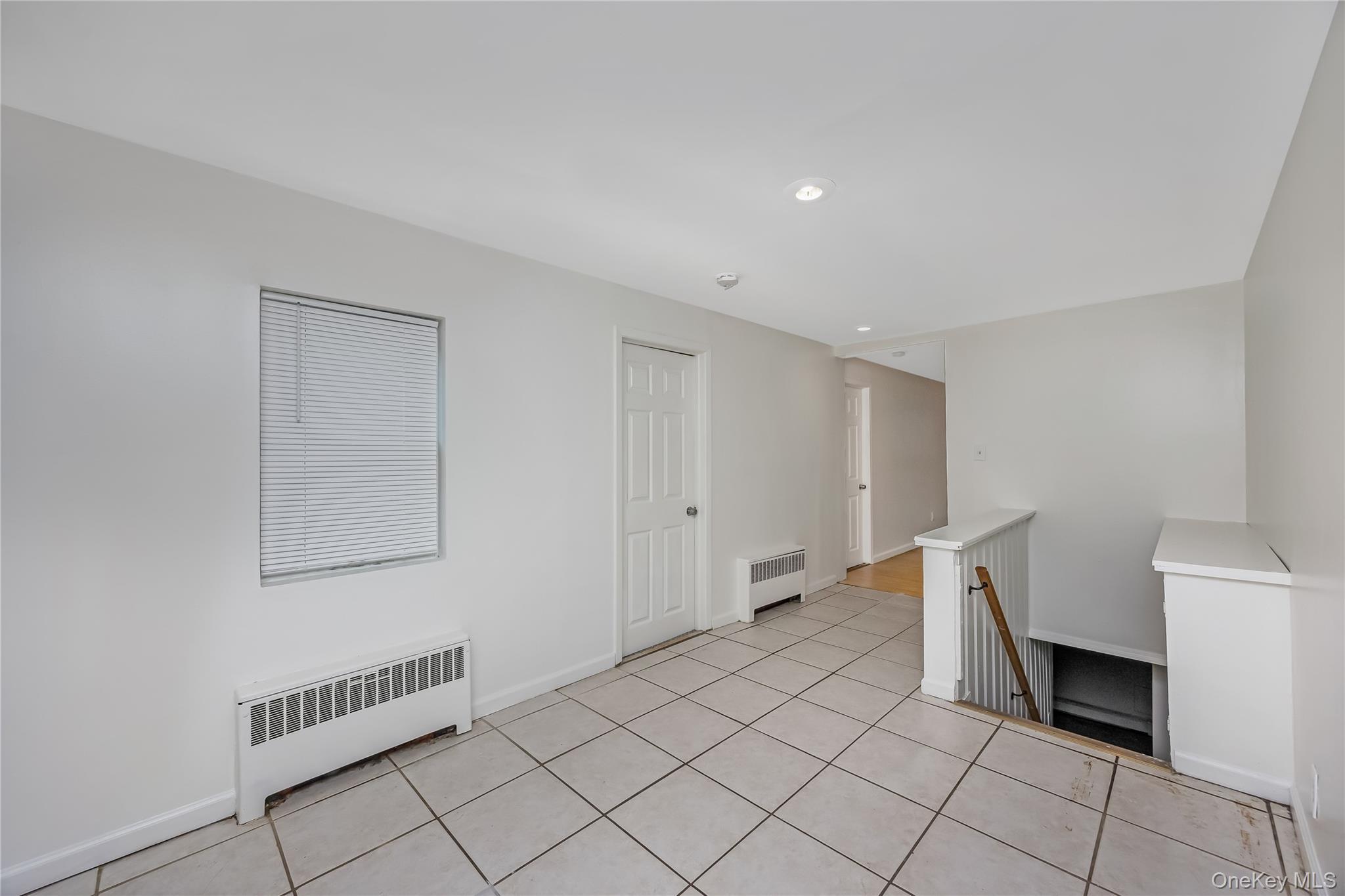 Single Family Buchanan Avenue Suffolk County, NY 11798, MLS-1026909-8