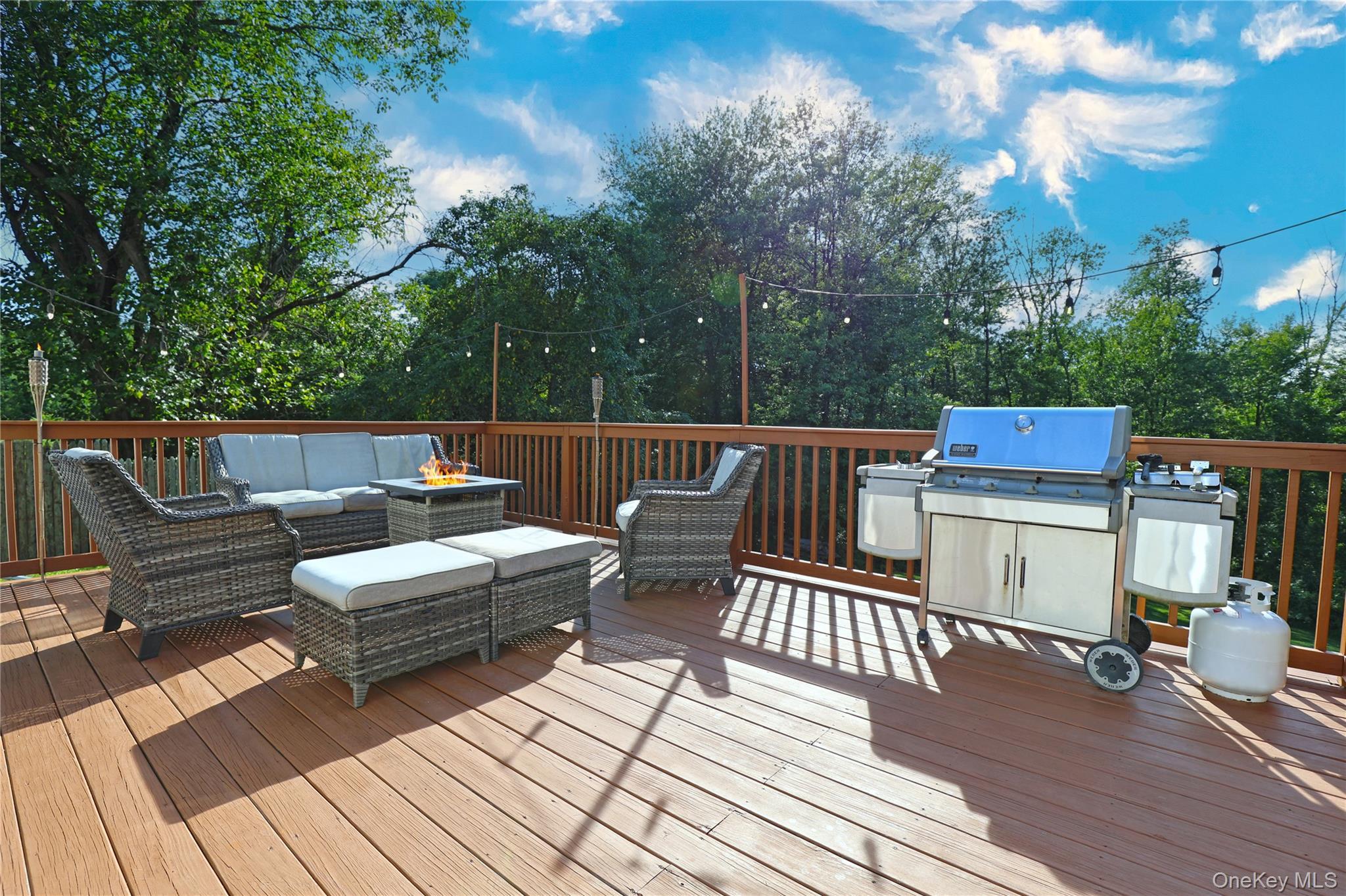 Single Family Gleason Boulevard Dutchess County, NY 12569, MLS-1026953-12