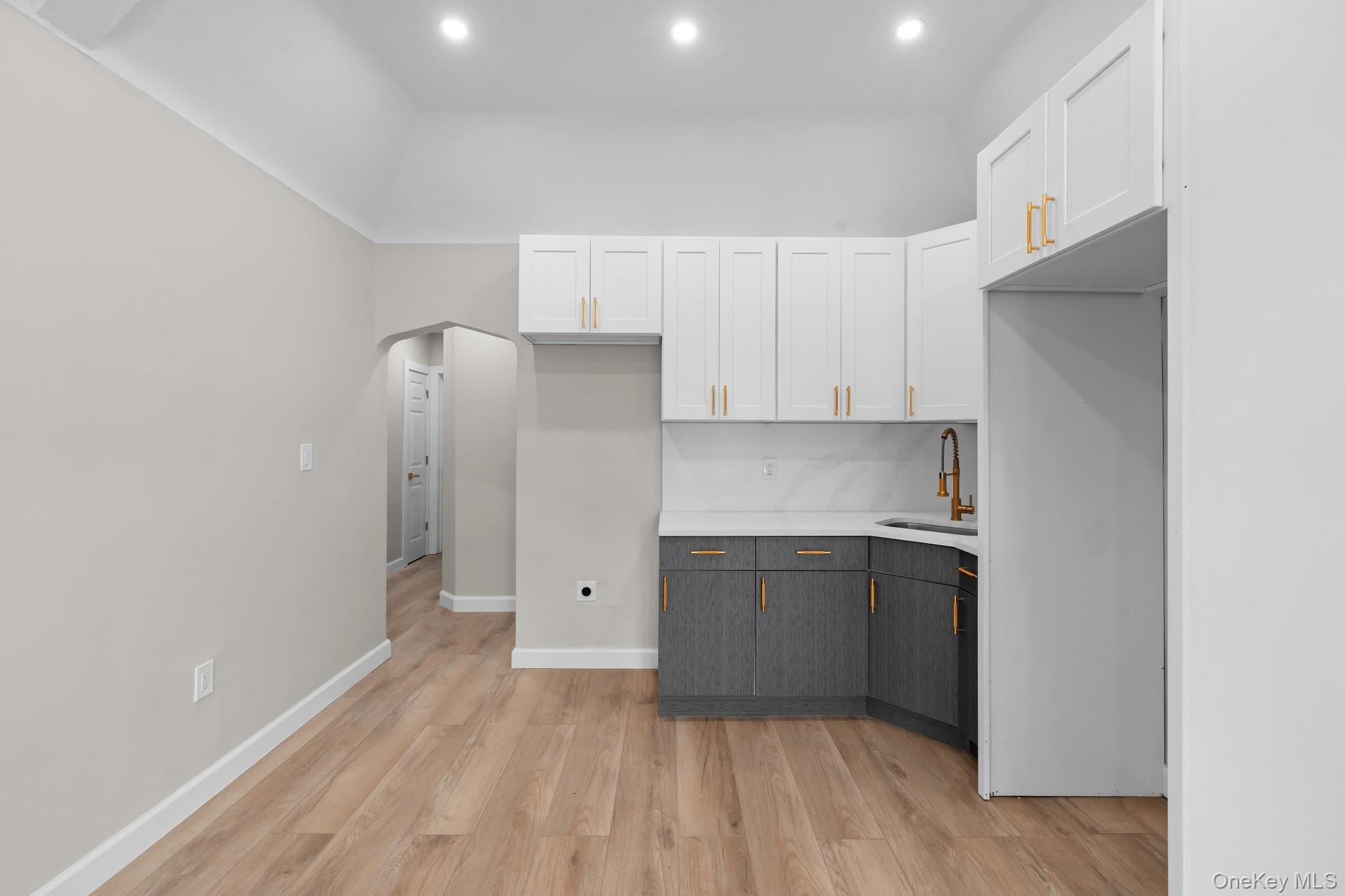 Single Family 134th Avenue Queens, NY 11434, MLS-1027028-2