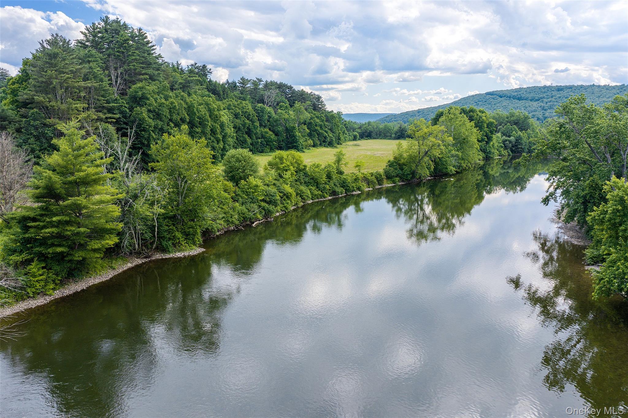 Single Family Covered Bridge Road  Delaware County, NY 13849, MLS-1027071-3