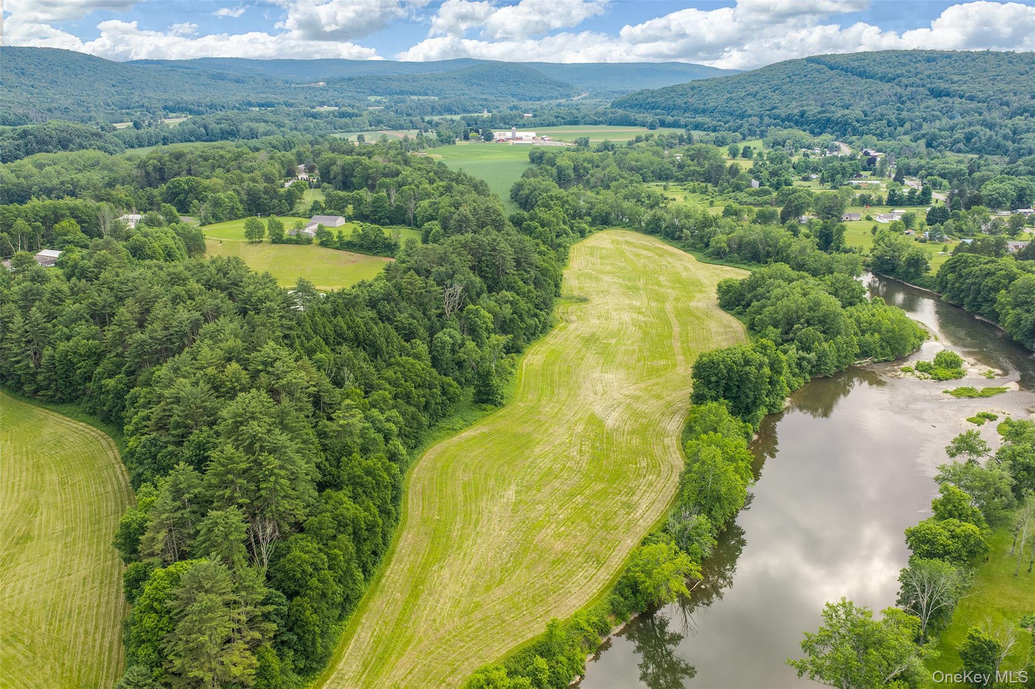 Single Family Covered Bridge Road  Delaware County, NY 13849, MLS-1027071-4