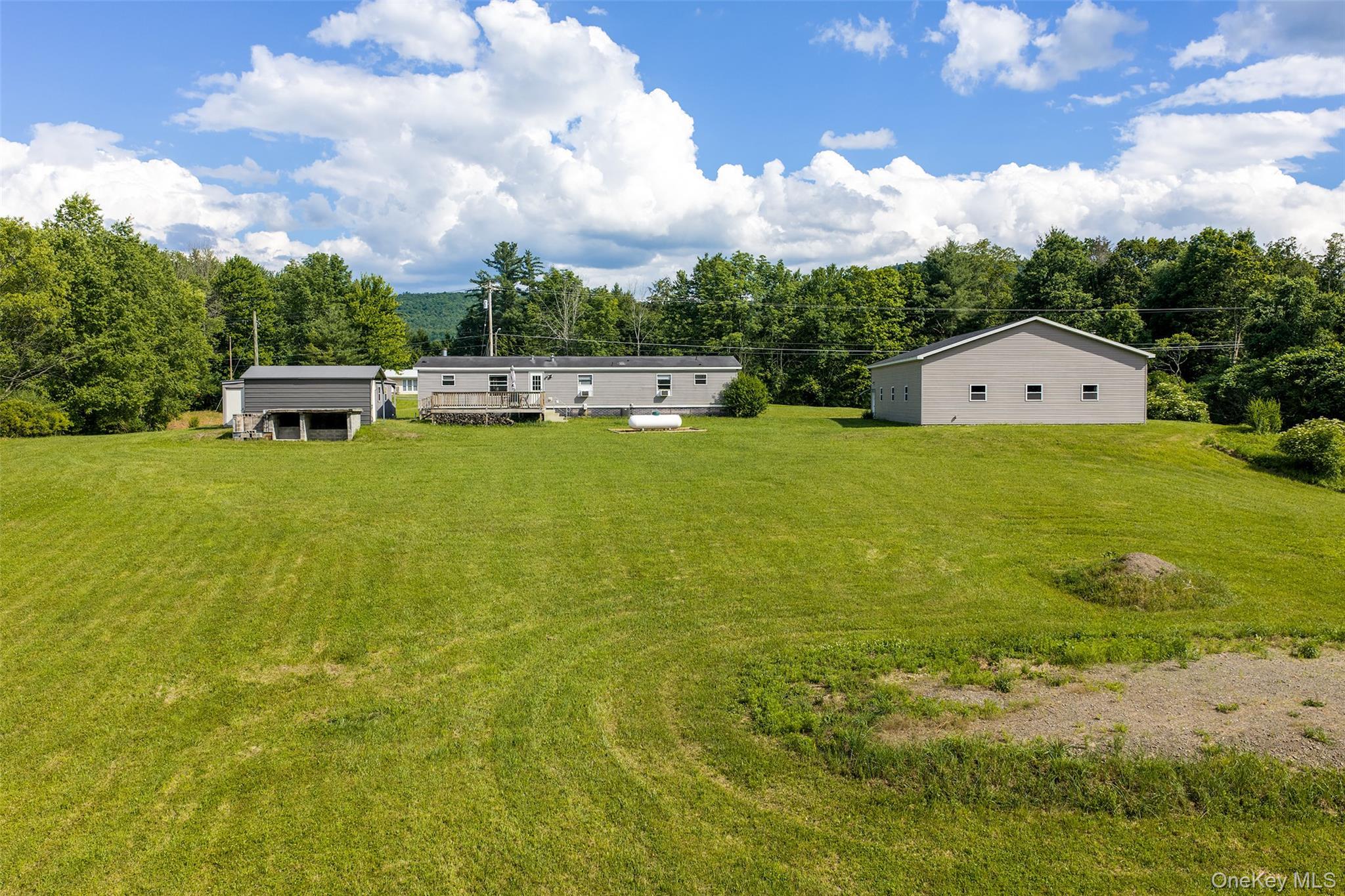 Single Family Covered Bridge Road  Delaware County, NY 13849, MLS-1027071-43