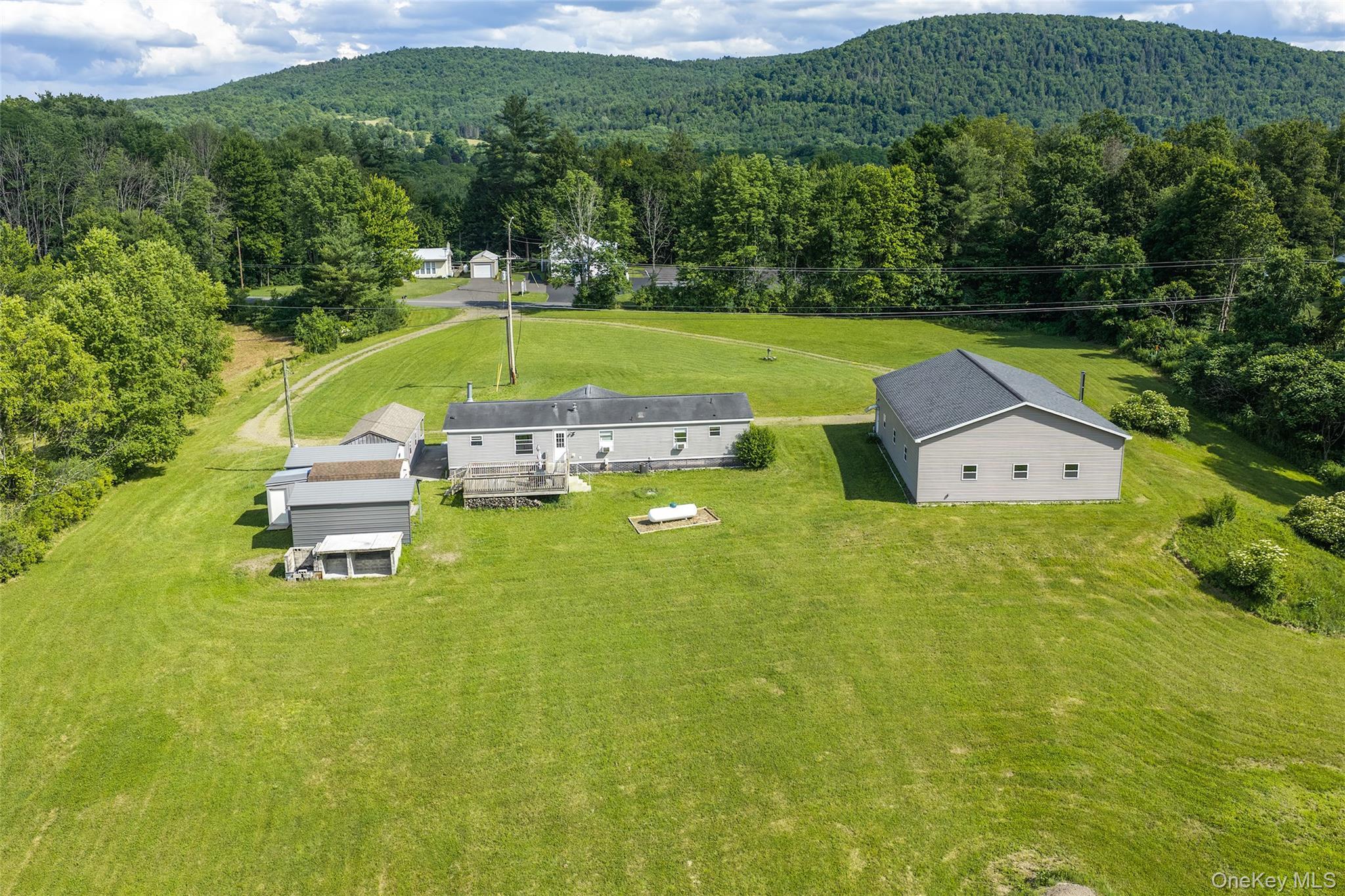 Single Family Covered Bridge Road  Delaware County, NY 13849, MLS-1027071-44