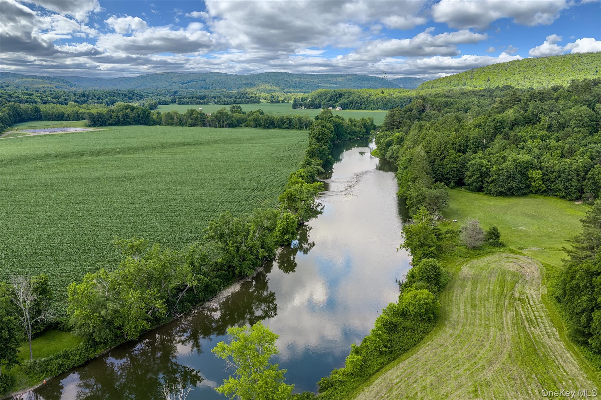 Single Family Covered Bridge Road  Delaware County, NY 13849, MLS-1027071-45