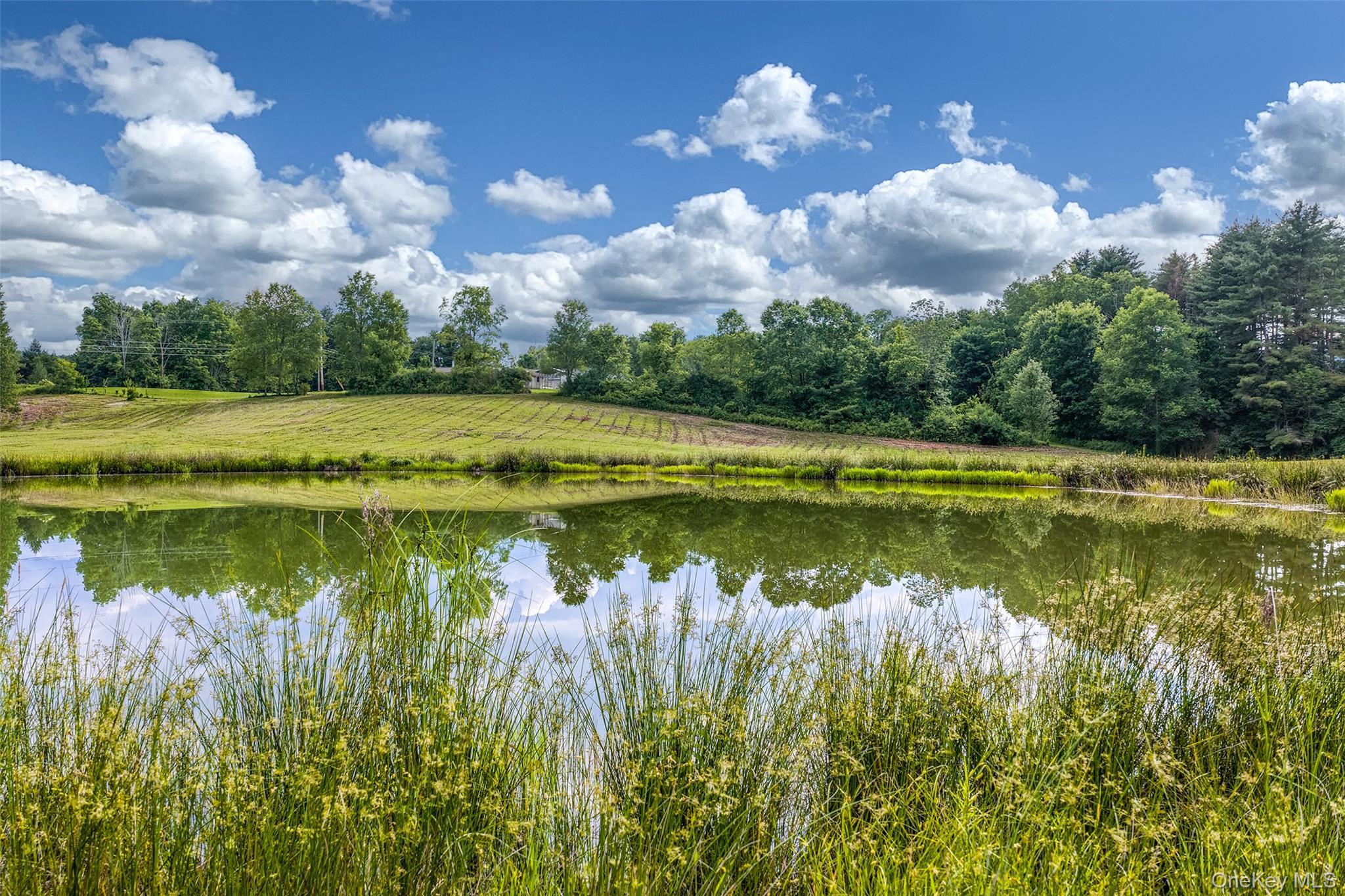 Single Family Covered Bridge Road  Delaware County, NY 13849, MLS-1027071-46