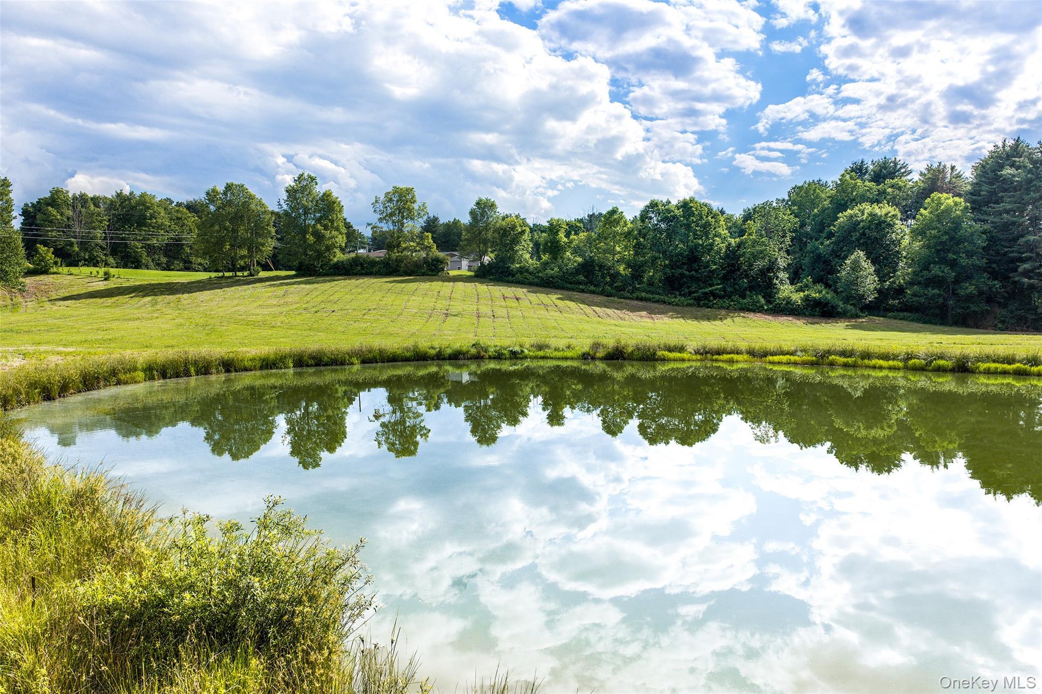 Single Family Covered Bridge Road  Delaware County, NY 13849, MLS-1027071-47