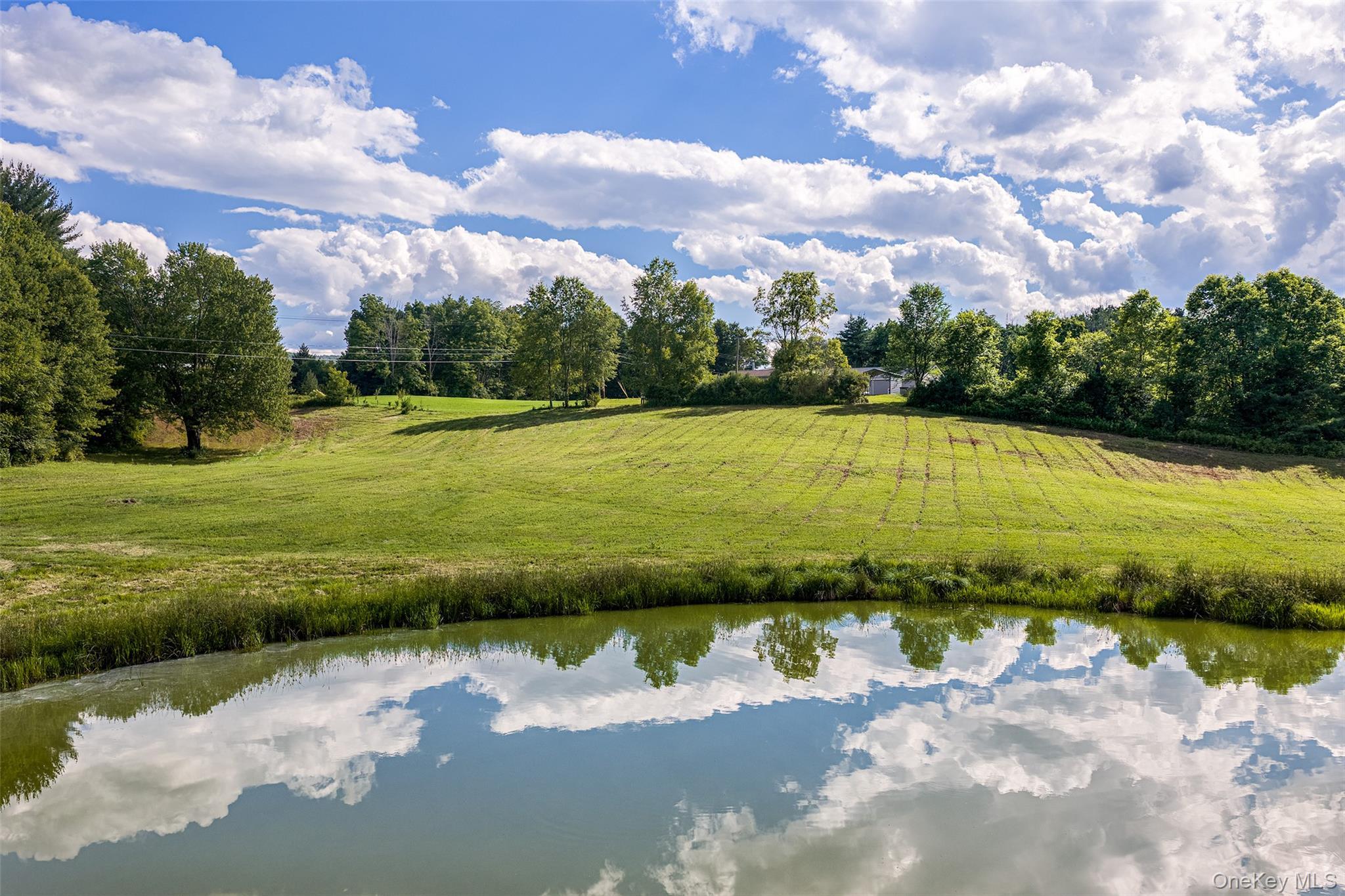 Single Family Covered Bridge Road  Delaware County, NY 13849, MLS-1027071-49