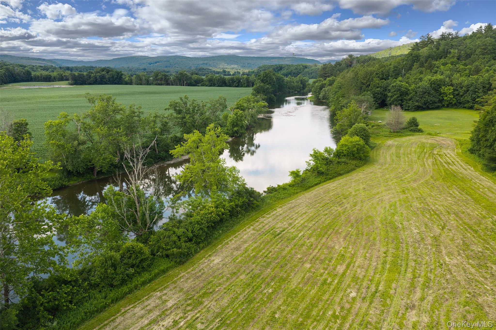 Single Family Covered Bridge Road  Delaware County, NY 13849, MLS-1027071-5