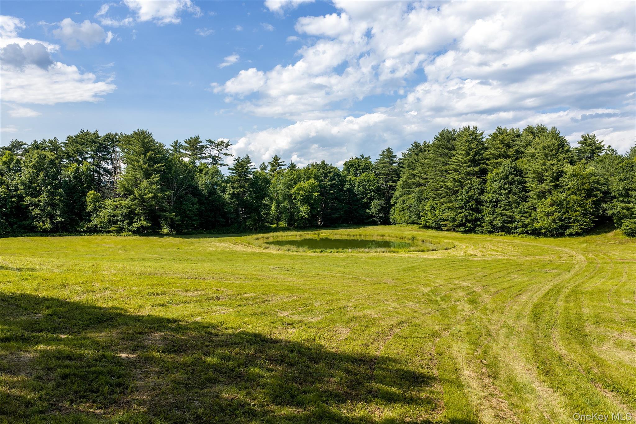 Single Family Covered Bridge Road  Delaware County, NY 13849, MLS-1027071-50