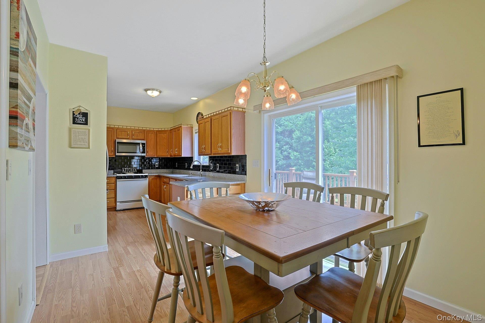 Single Family Ledger View Court Orange County, NY 10930, MLS-1027087-13