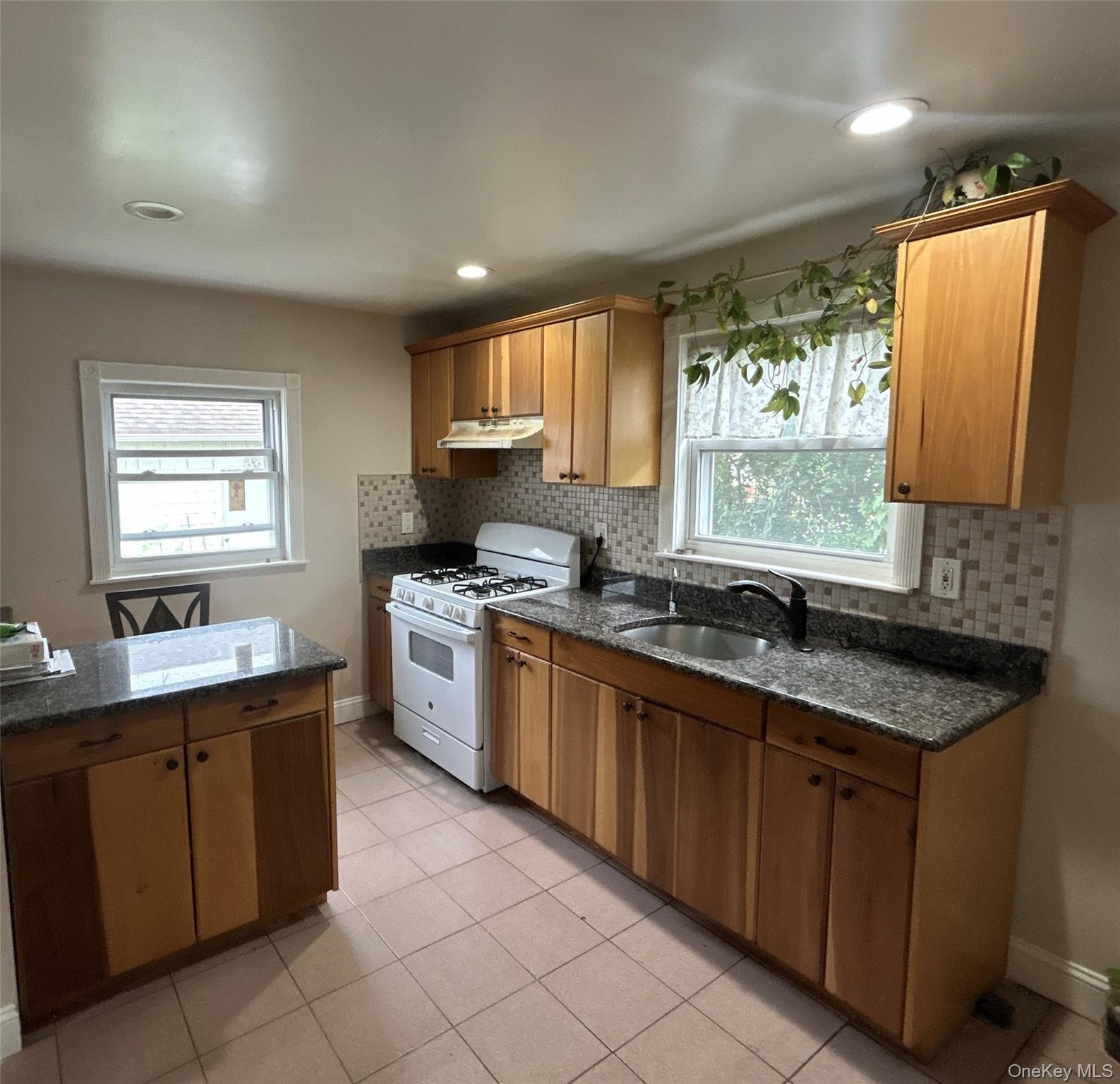 Single Family California Avenue  Nassau County, NY 11550, MLS-1027134-7
