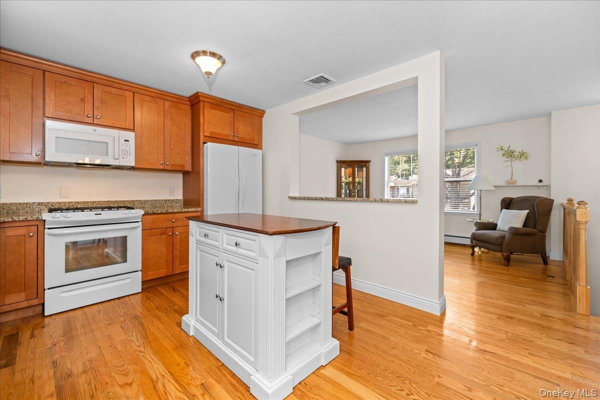 Single Family S Lynn Street  Orange County, NY 10990, MLS-1027194-16