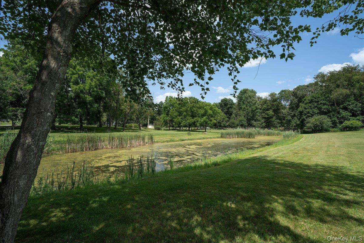 Single Family S Lynn Street  Orange County, NY 10990, MLS-1027194-47