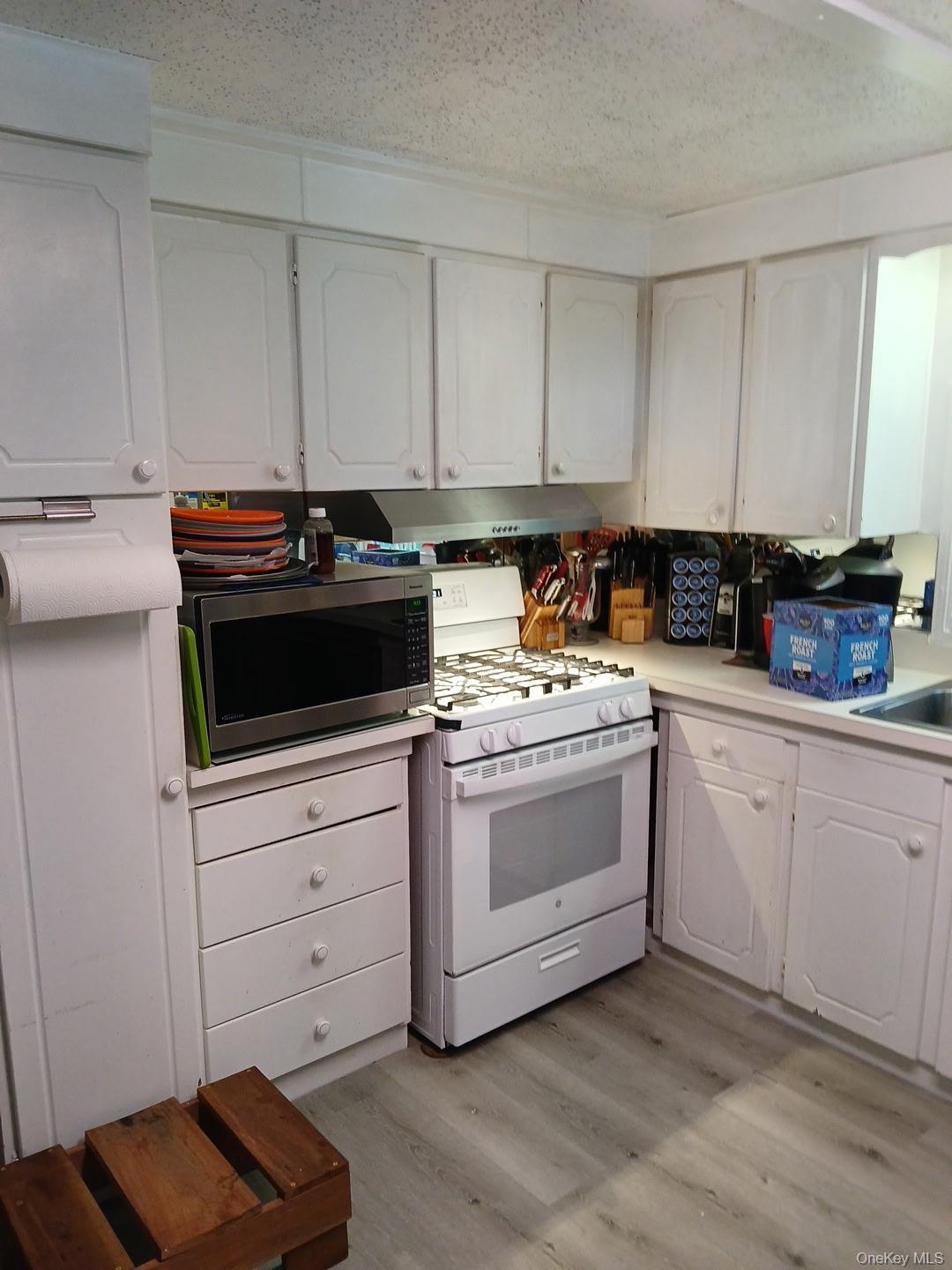 Single Family Fresh Pond Avenue Suffolk County, NY 11901, MLS-1027202-18