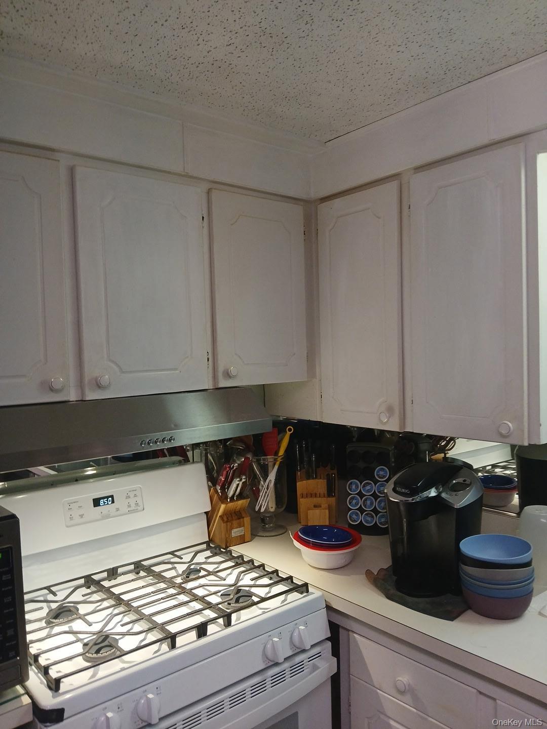 Single Family Fresh Pond Avenue Suffolk County, NY 11901, MLS-1027202-19