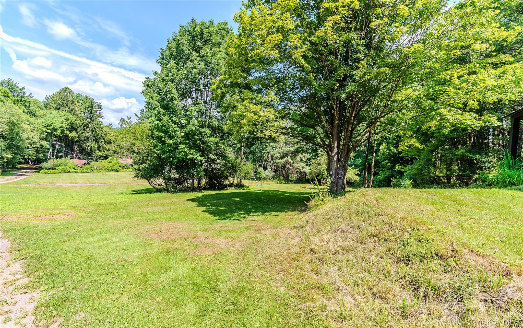 Single Family Cape Road  Sullivan County, NY 12791, MLS-1027205-40