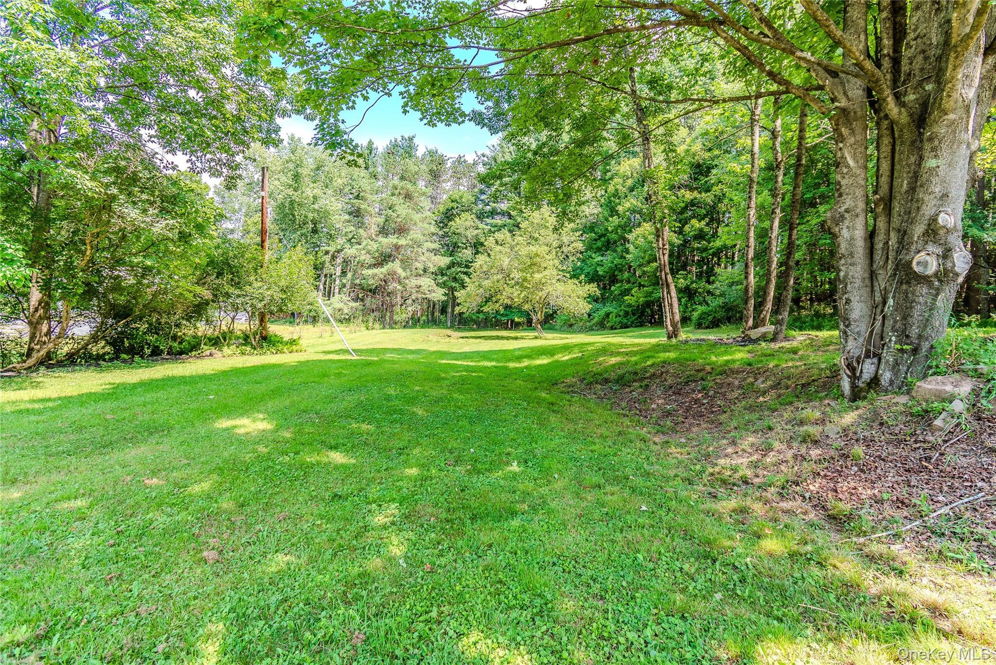 Single Family Cape Road  Sullivan County, NY 12791, MLS-1027205-41