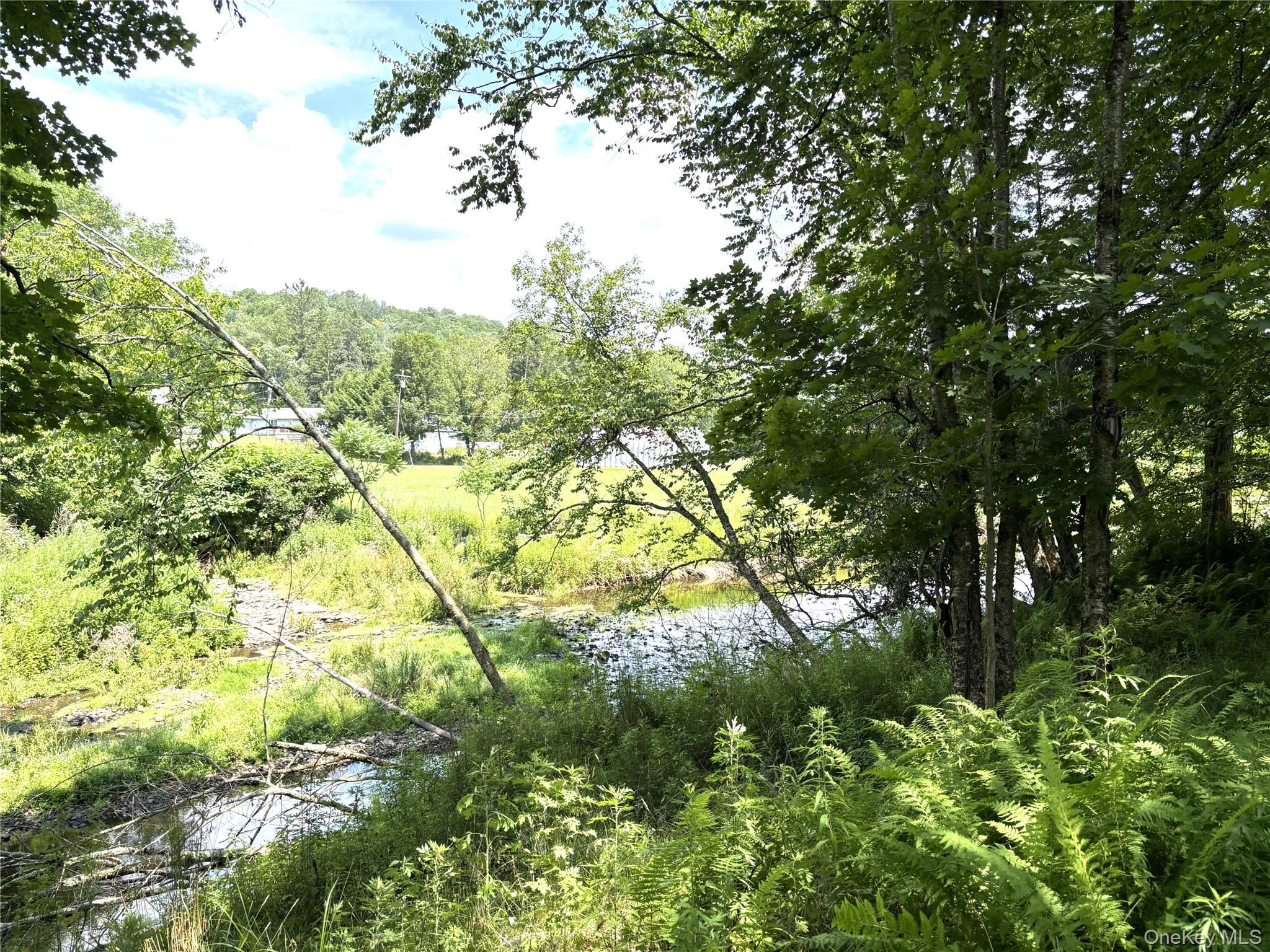 Single Family Cape Road  Sullivan County, NY 12791, MLS-1027205-44