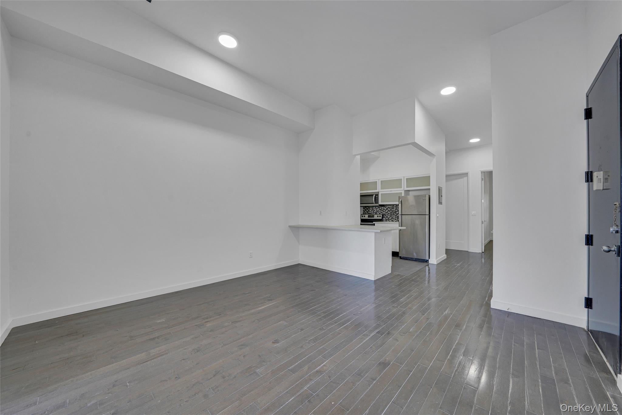 Single Family Halsey Street Brooklyn, NY 11207, MLS-1027261-14