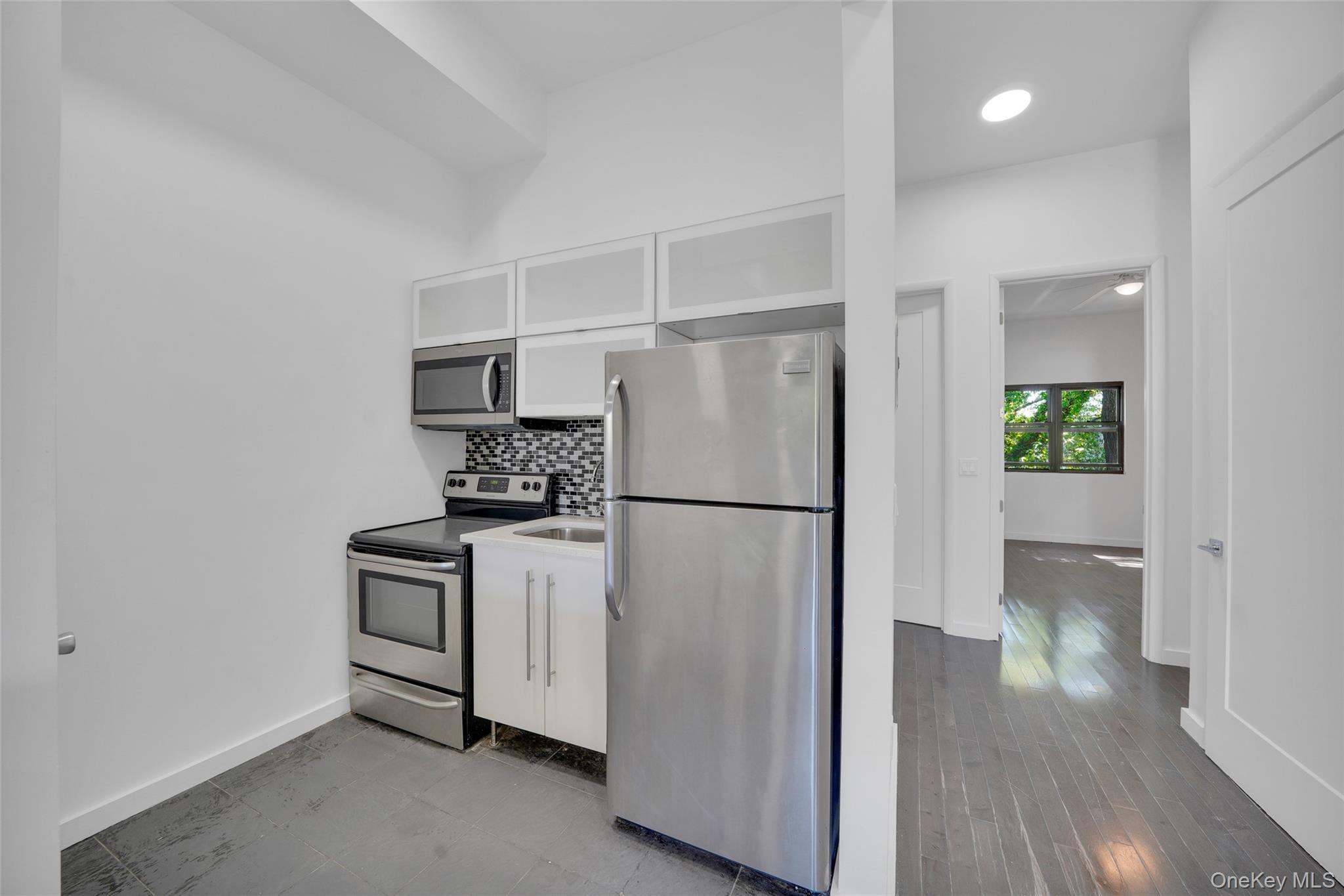 Single Family Halsey Street Brooklyn, NY 11207, MLS-1027261-19