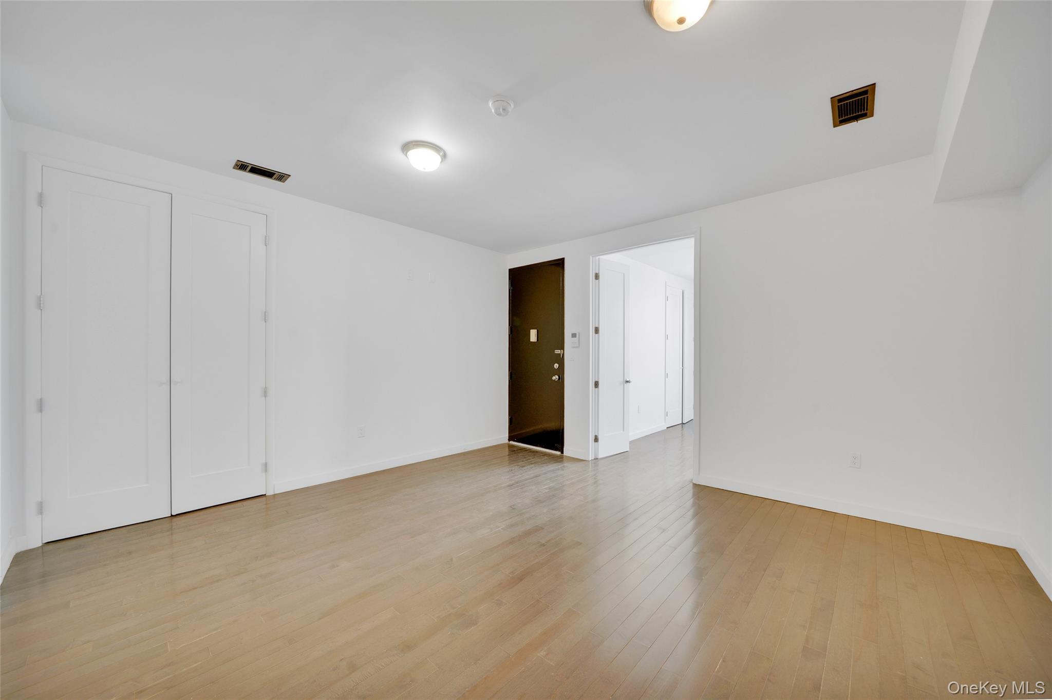 Single Family Halsey Street Brooklyn, NY 11207, MLS-1027261-29