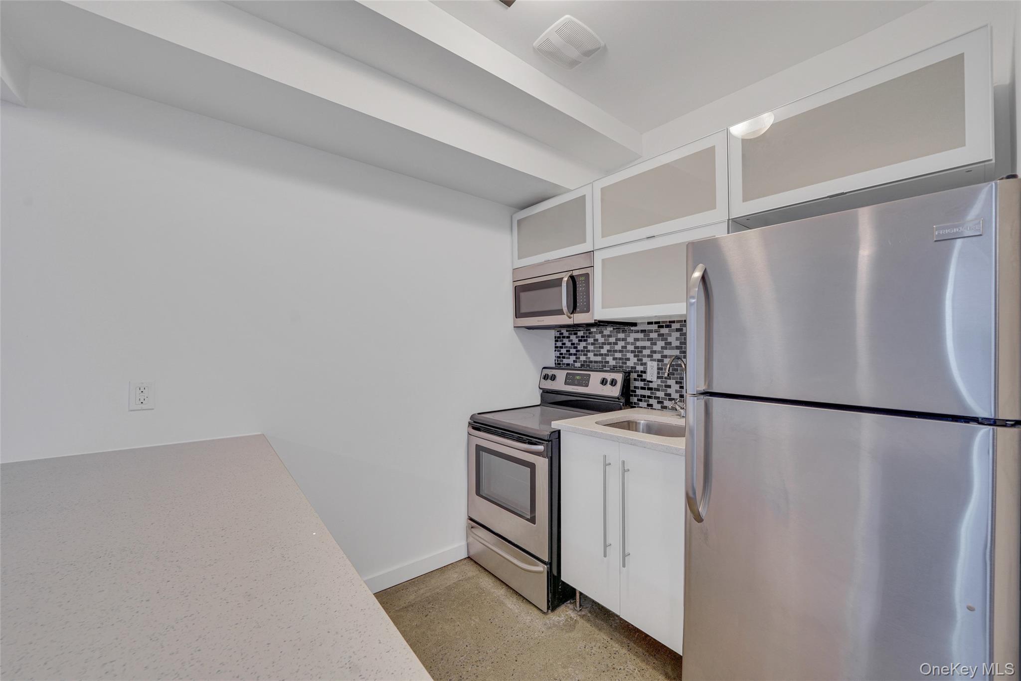Single Family Halsey Street Brooklyn, NY 11207, MLS-1027261-32