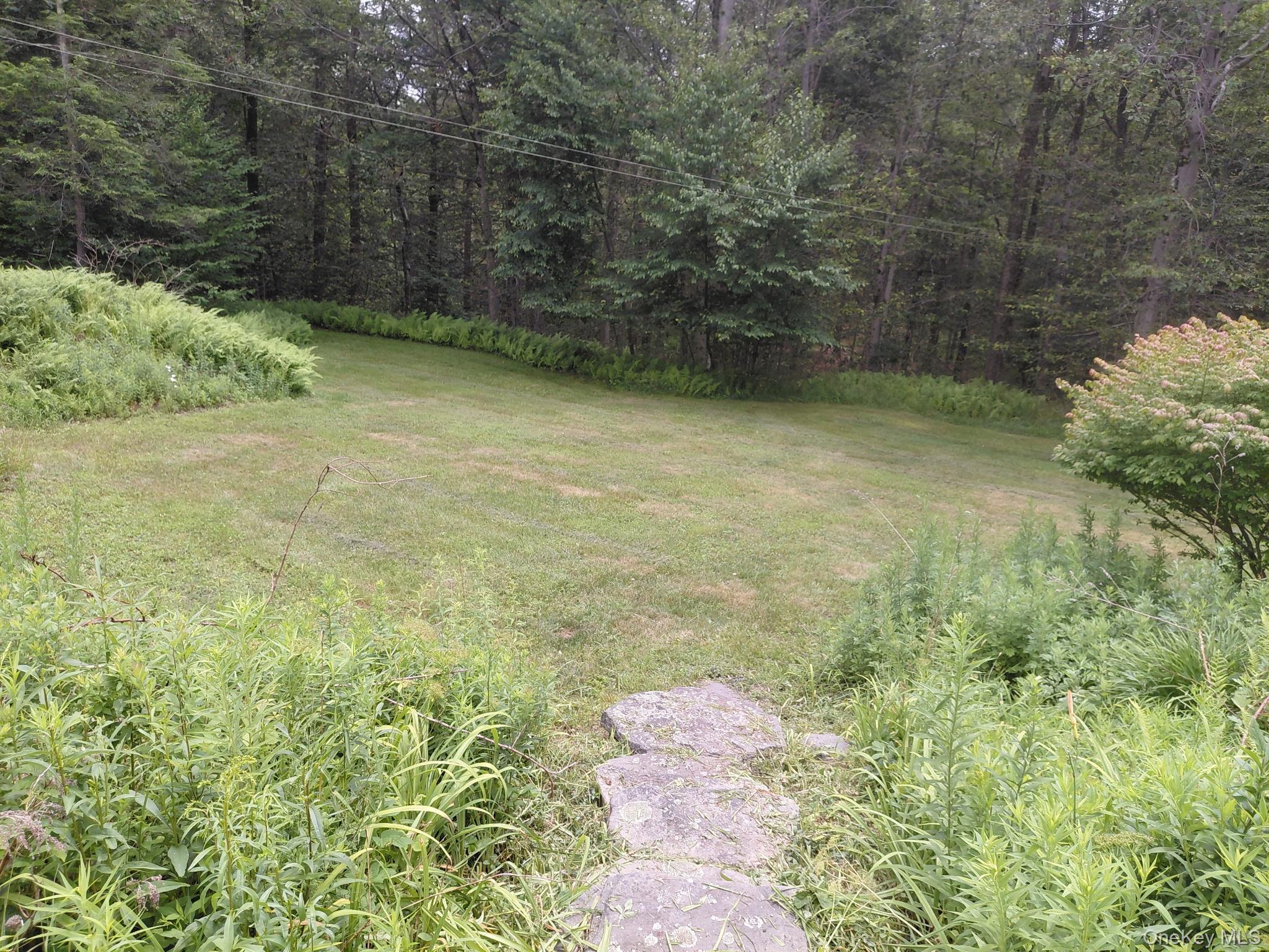 Single Family State Route 55 Sullivan County, NY 12754, MLS-1027271-3