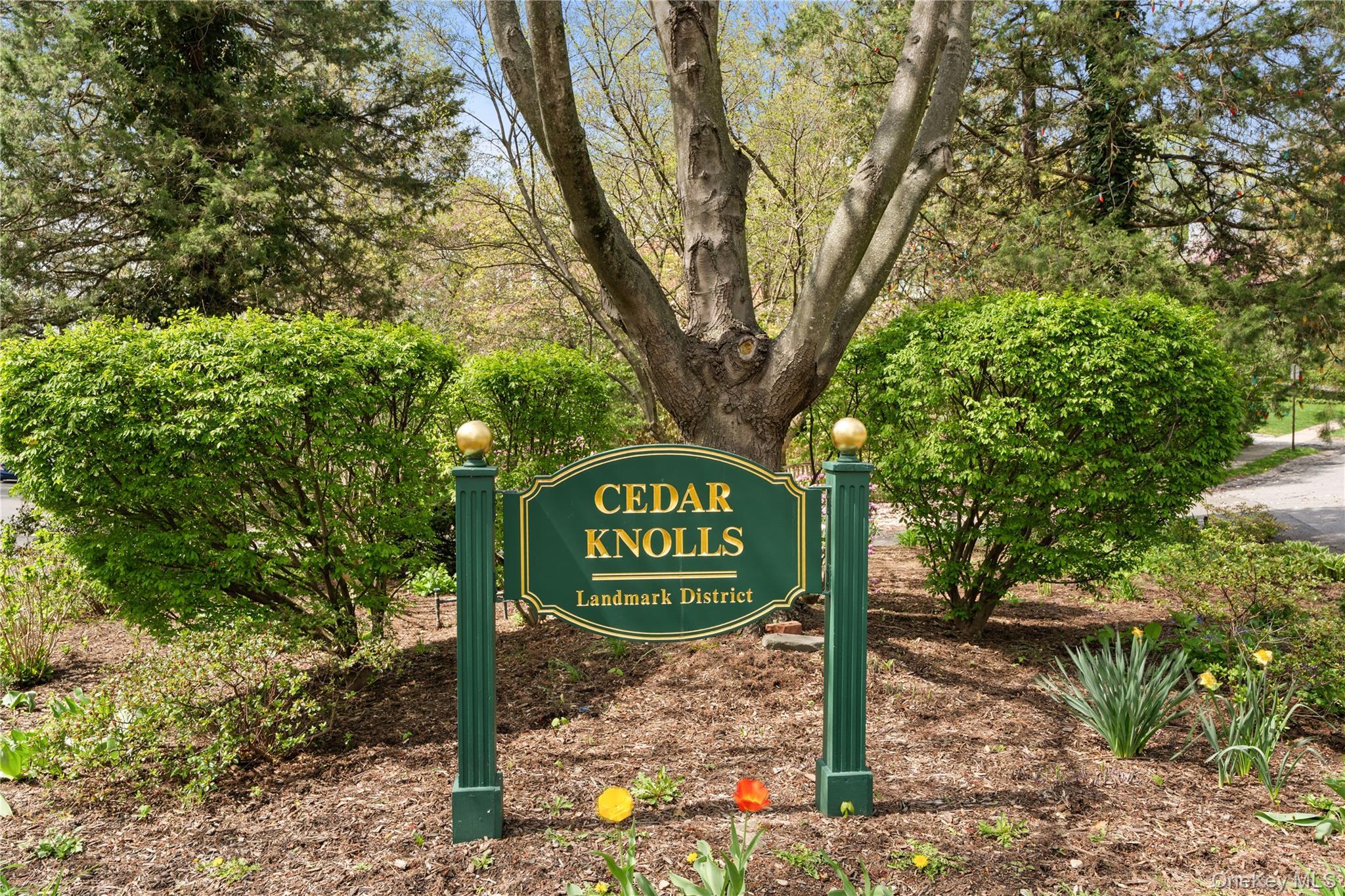 Single Family Dellwood Road  Westchester County, NY 10708, MLS-1027312-42